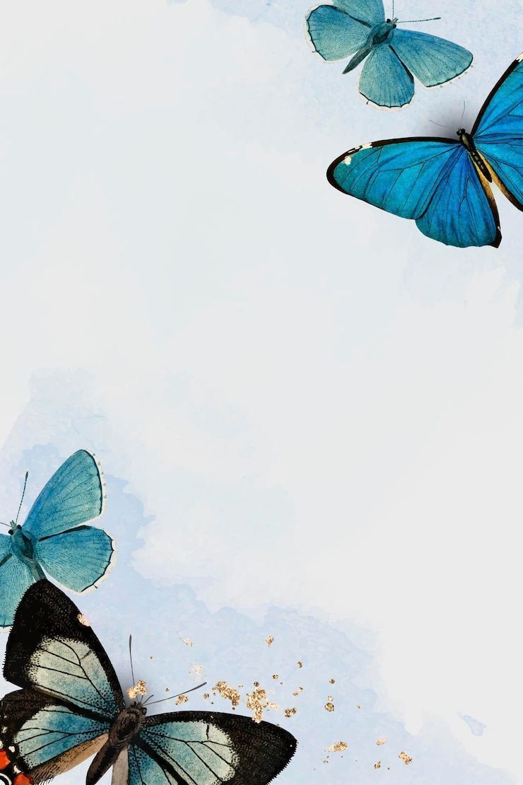 740x1110 Blue Butterfly Wallpaper Aesthetic Image