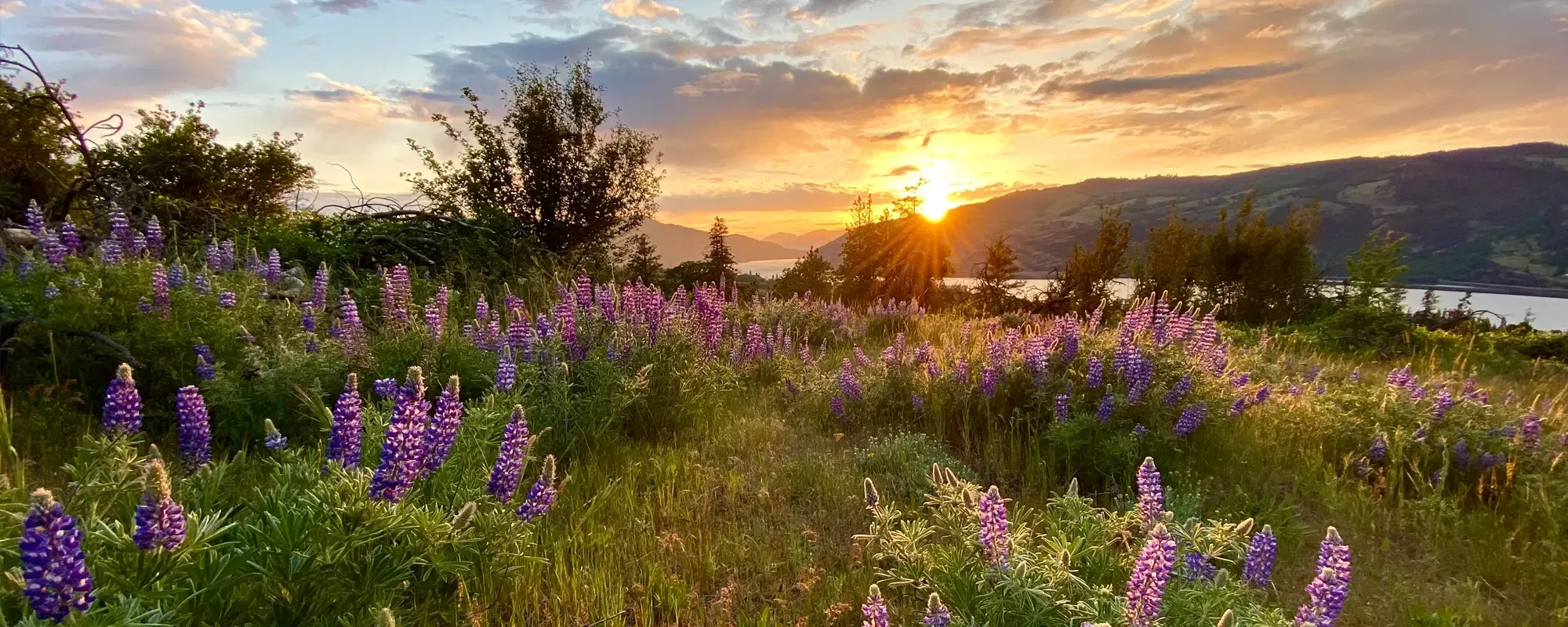 2000x800 Our Mission of the Columbia Gorge