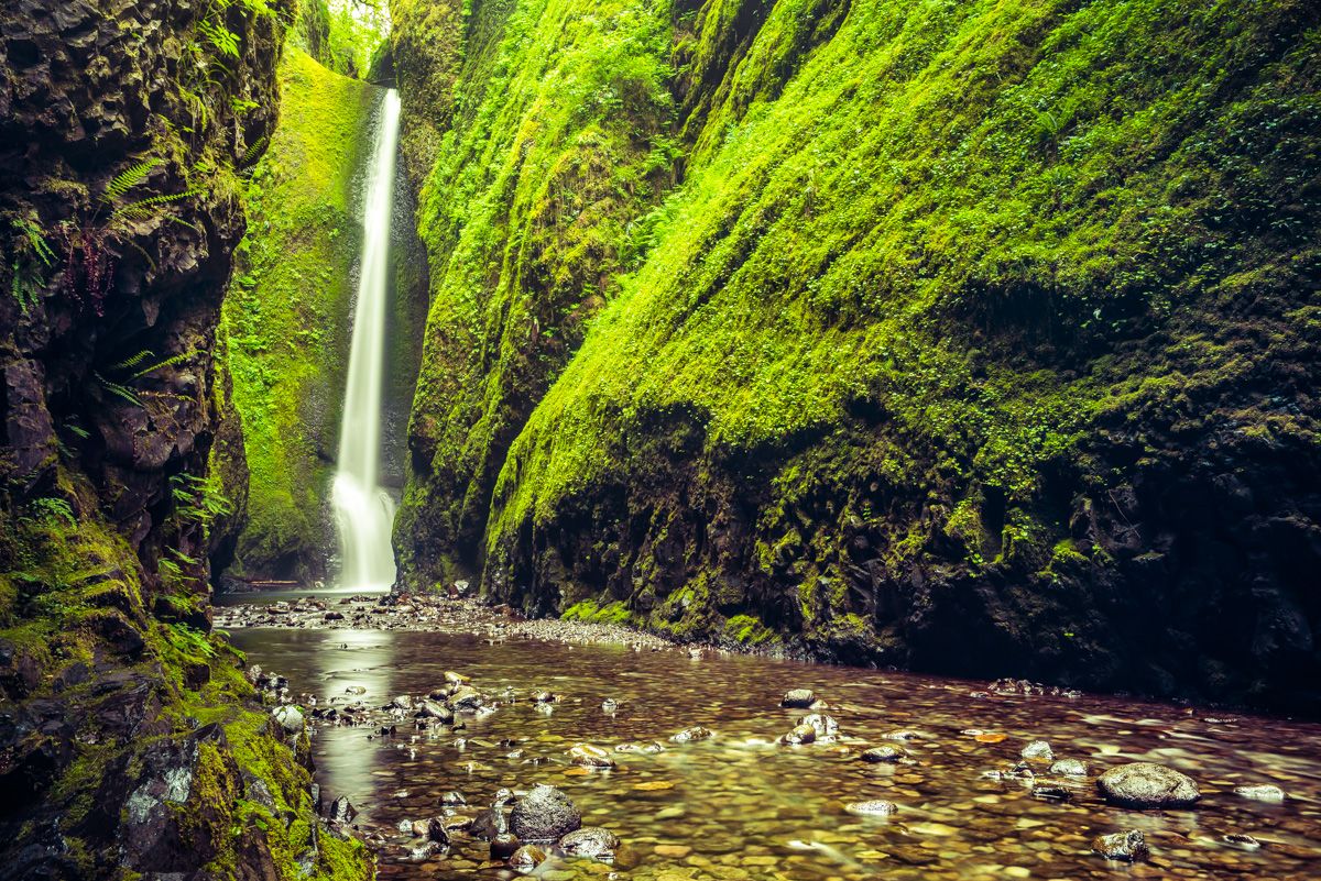 1200x801 Columbia Gorge: Drooling Cascades & Lush Forests
