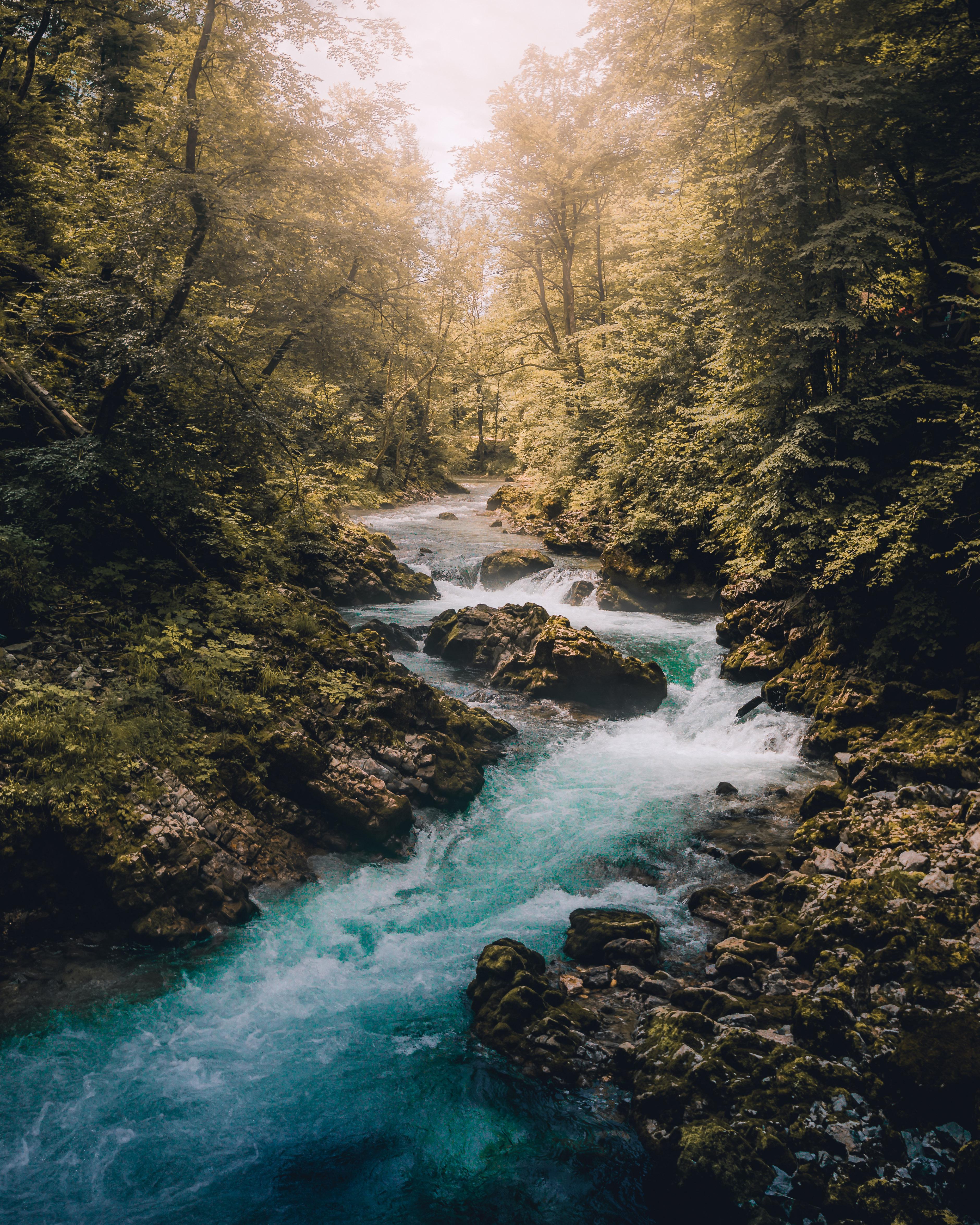 3760x4700 Slovenia; Where The Water Colour Was The Craziest Blue Teal I Have Ever Seen. Vintgar Gorge, Slovenia [OC][3760 × 4700]