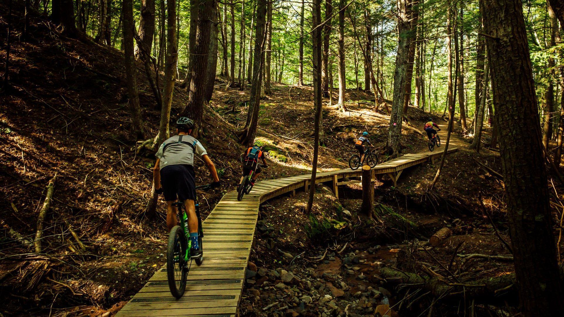 1920x1080 The Gorge Mountain Bike Trails Kentville, Nova Scotia