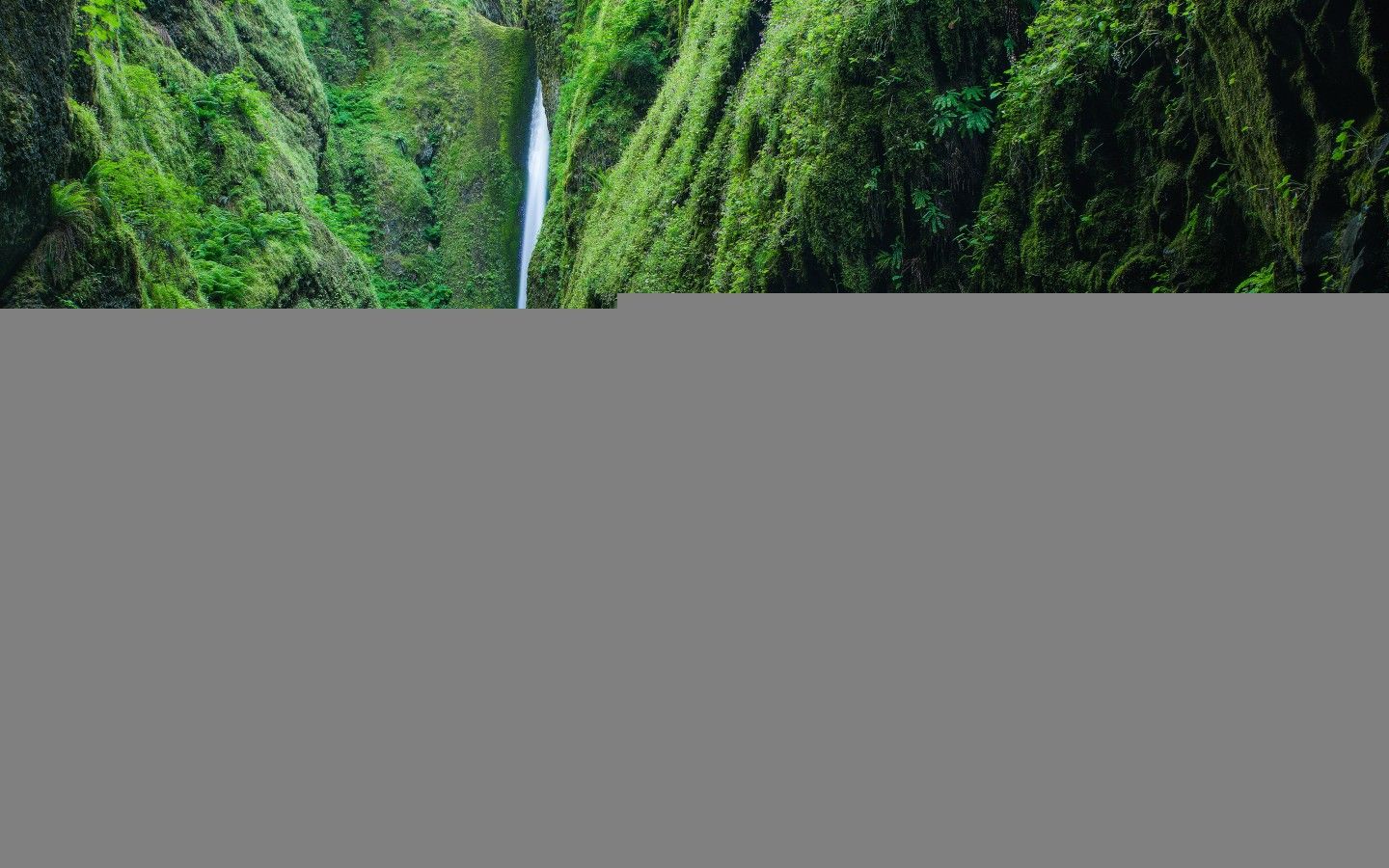 1440x900 Oneonta Gorge Waterfall Oregon Wallpaper