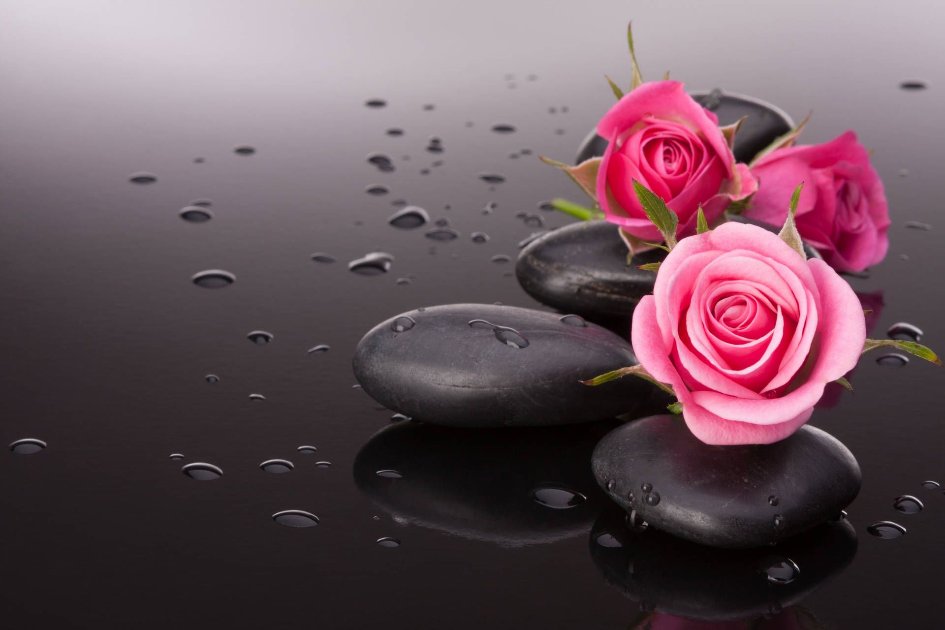 1920x1280 Black And Pink Aesthetic Wallpaper