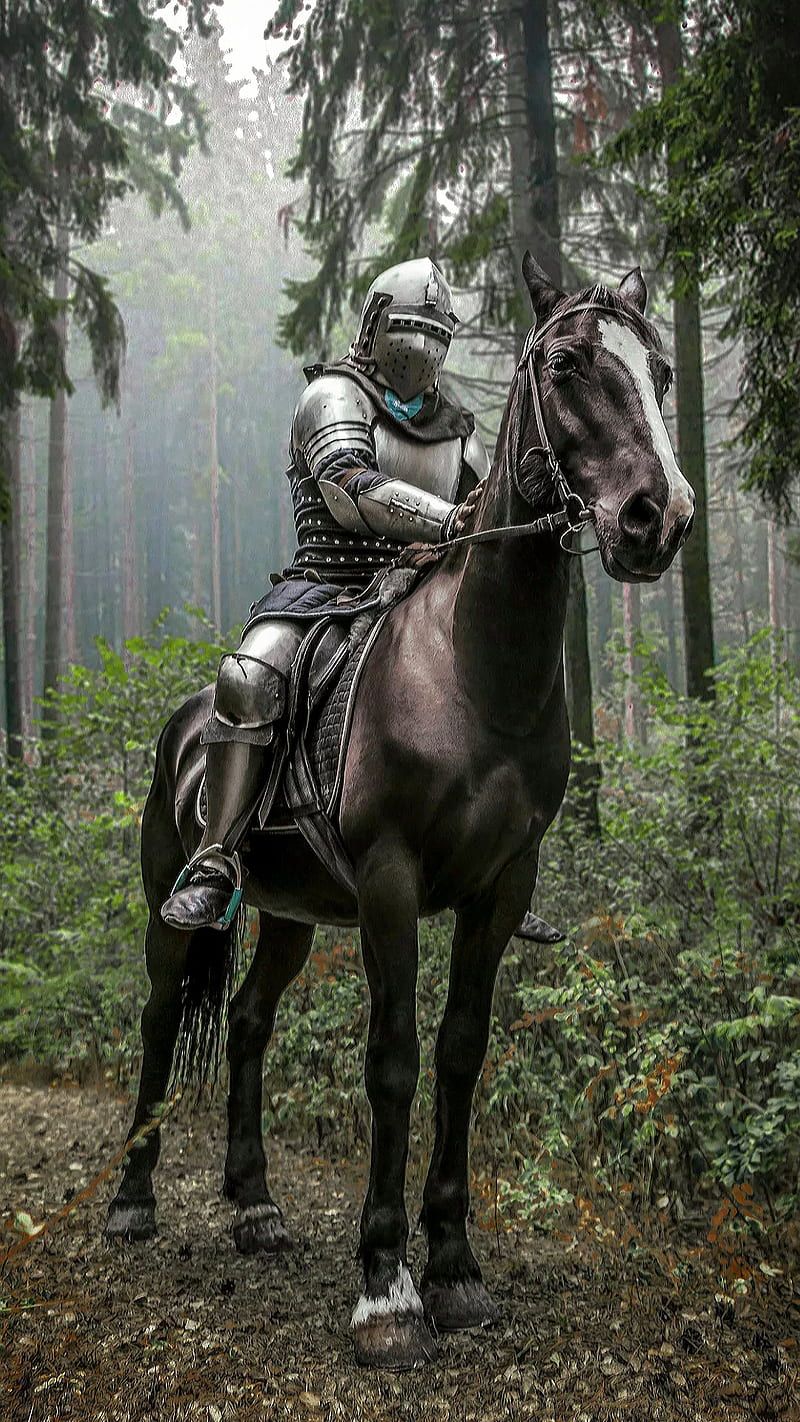 800x1422 Knight, ancient, forest, history, horse, metal, soldier, warrior, HD phone wallpaper