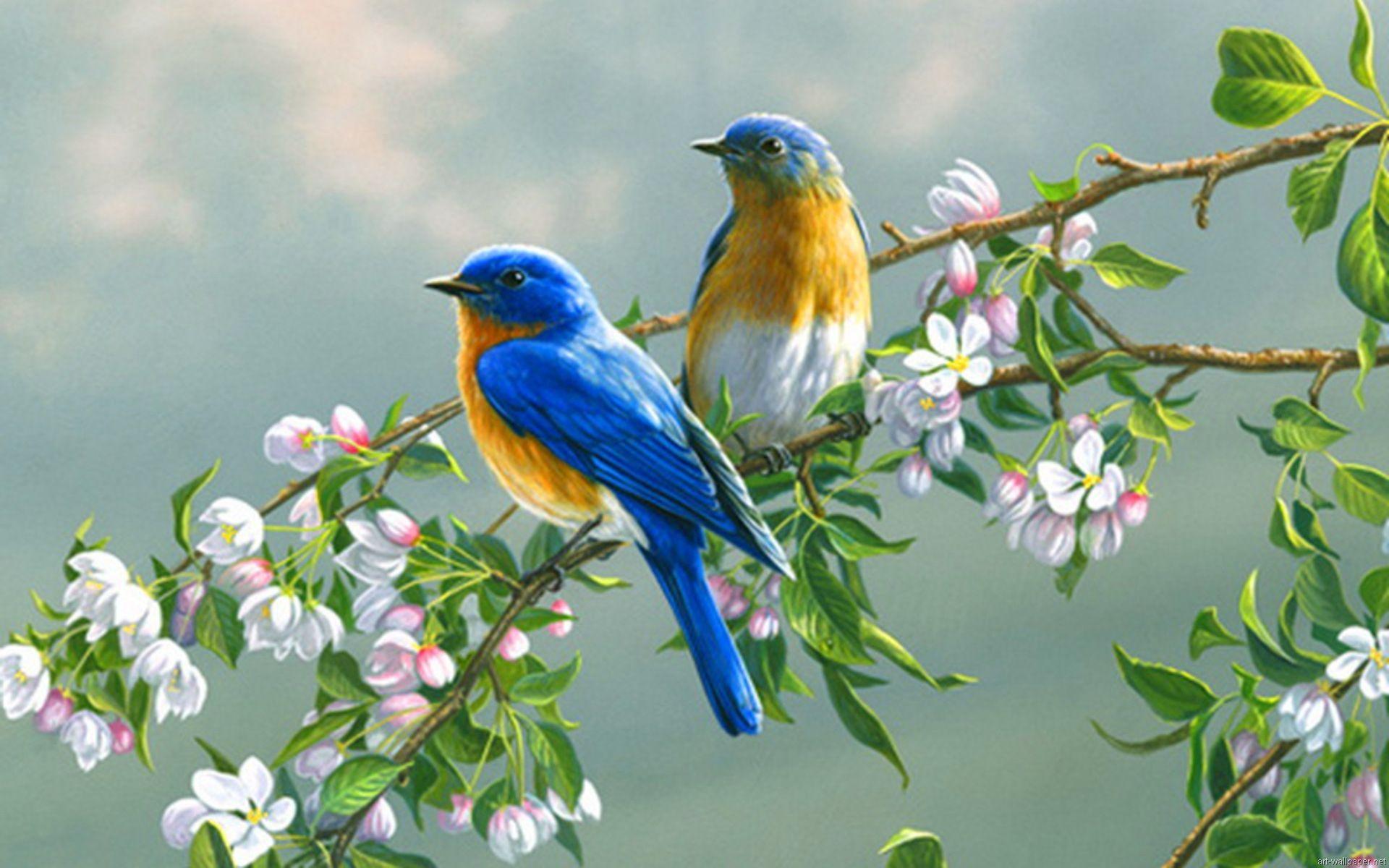 1920x1200 Flowers and Birds Wallpaper [Free HQ Picture]