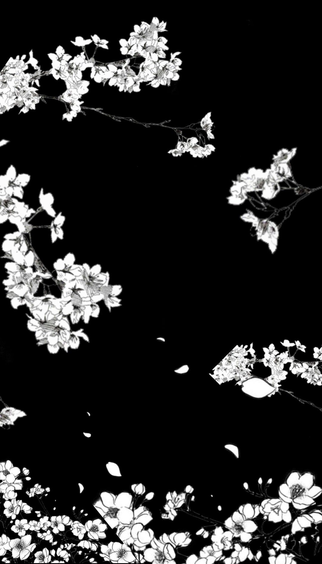 1080x1890 Black And White Sakura Wallpaper