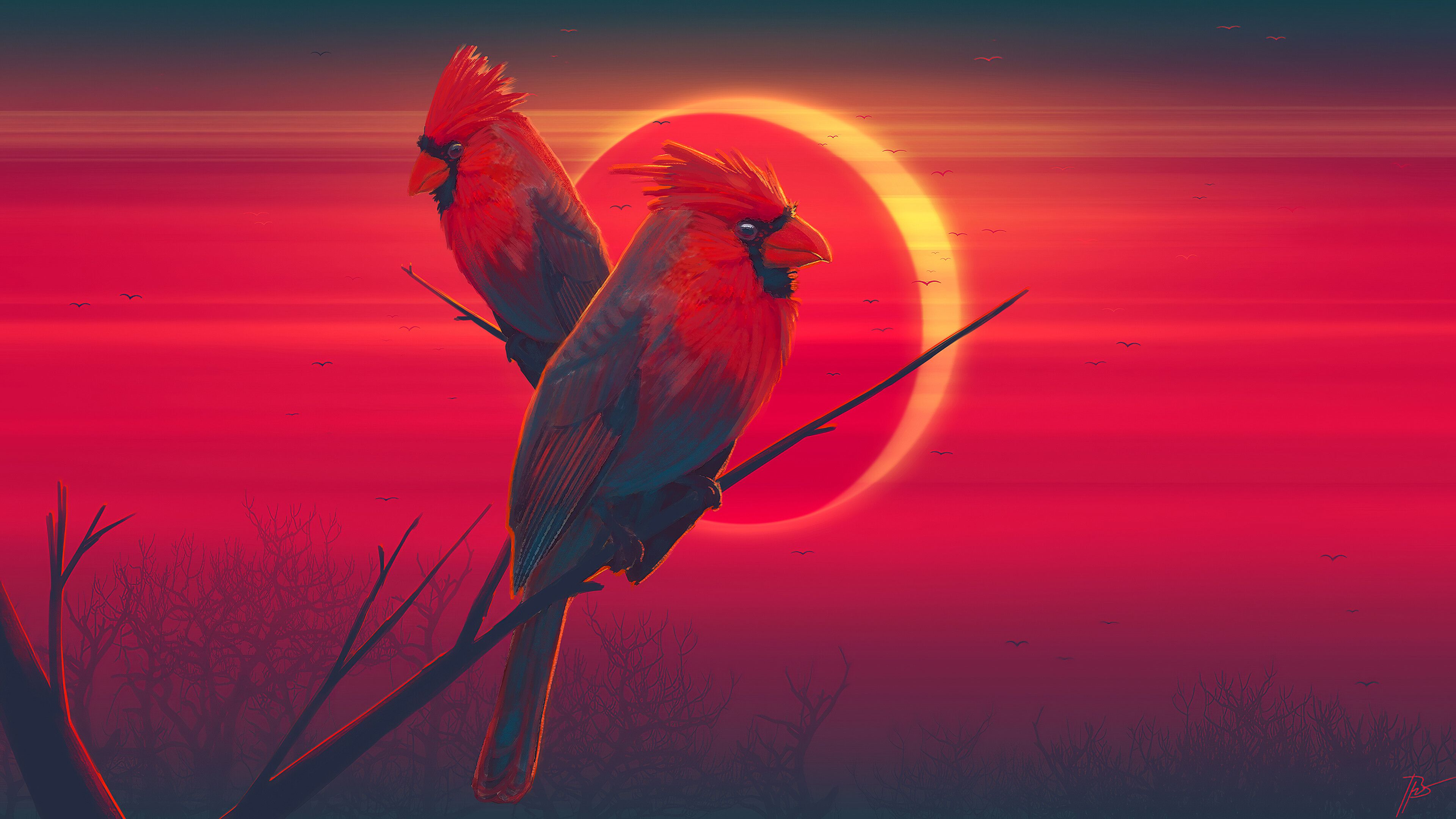 3840x2160 Bird Wallpaper