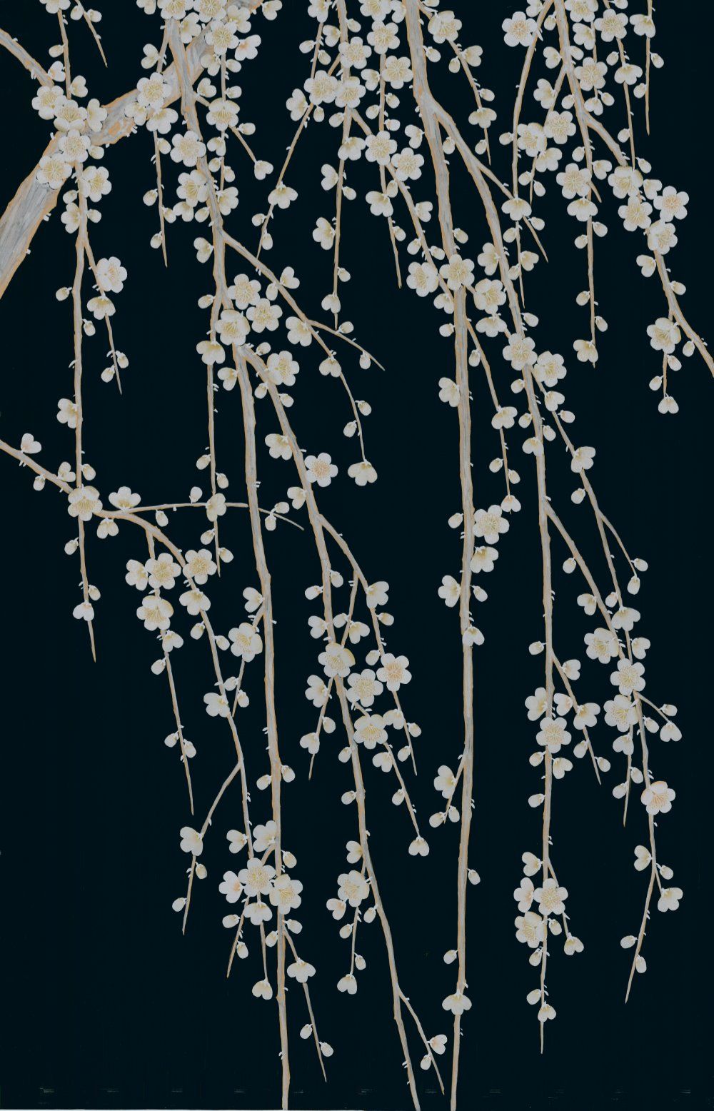 1000x1556 Gracie