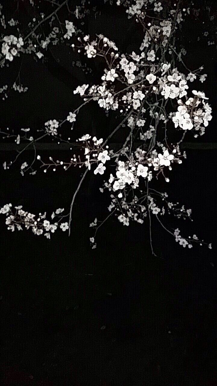 720x1280 Black Walpaper