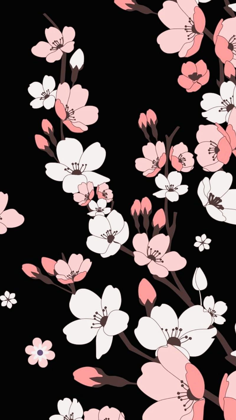 800x1423 Black cherry blossom, black and white, pink, white, HD phone wallpaper