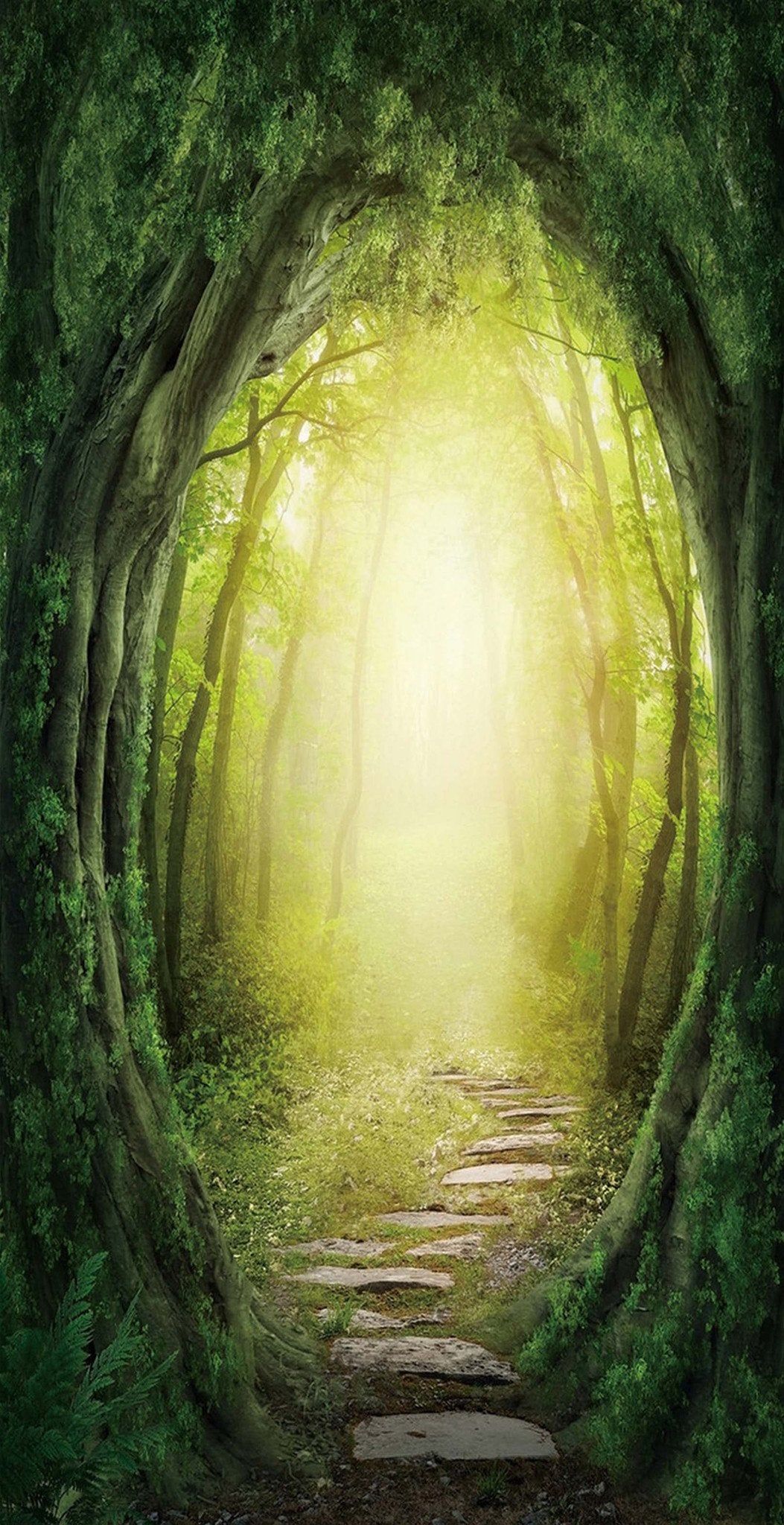 1053x2048 3D Forest Path Sunshine 93 Door Mural