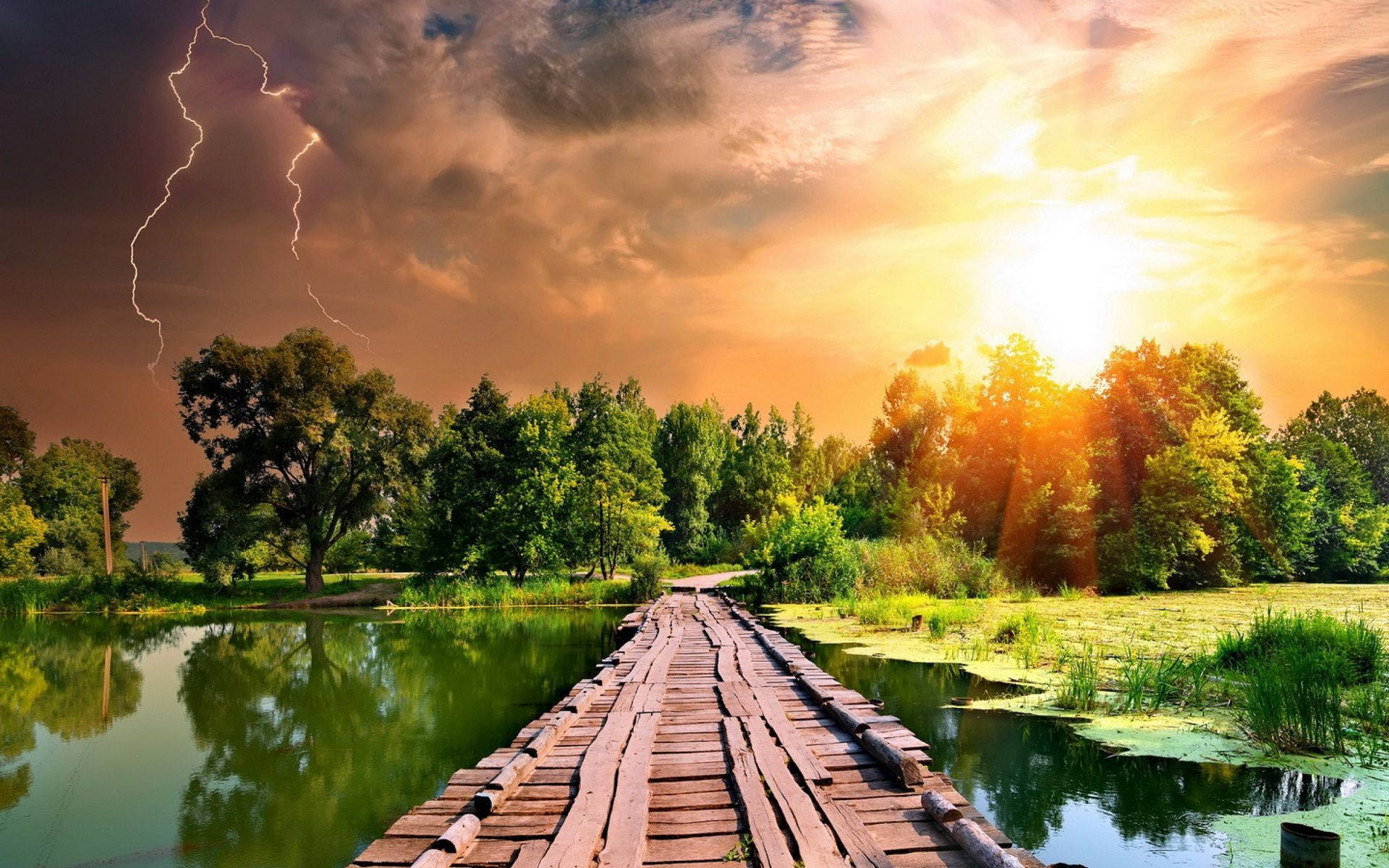 1920x1200 Sunshine Bridge Forest Wallpaper