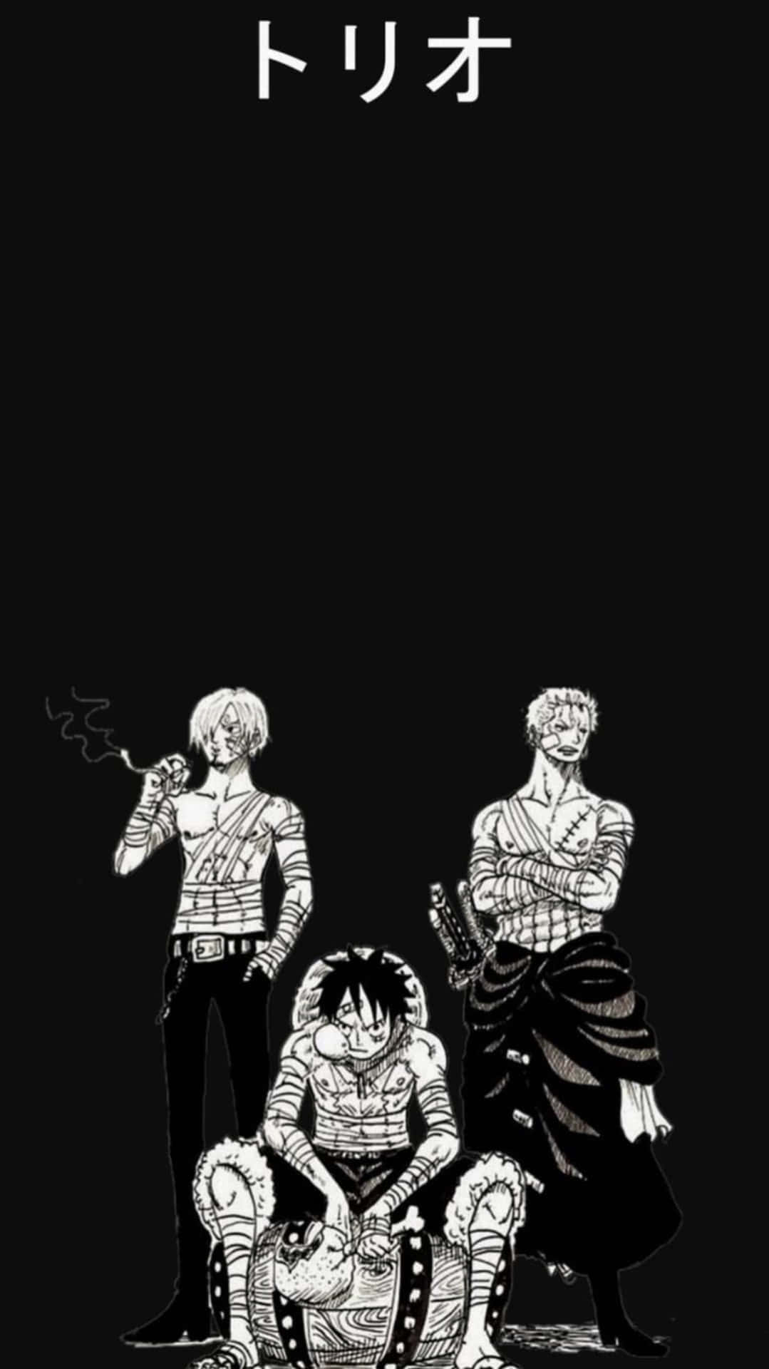 1079x1920 Download One Piece Black And White With Zoro And Sanji Wallpaper