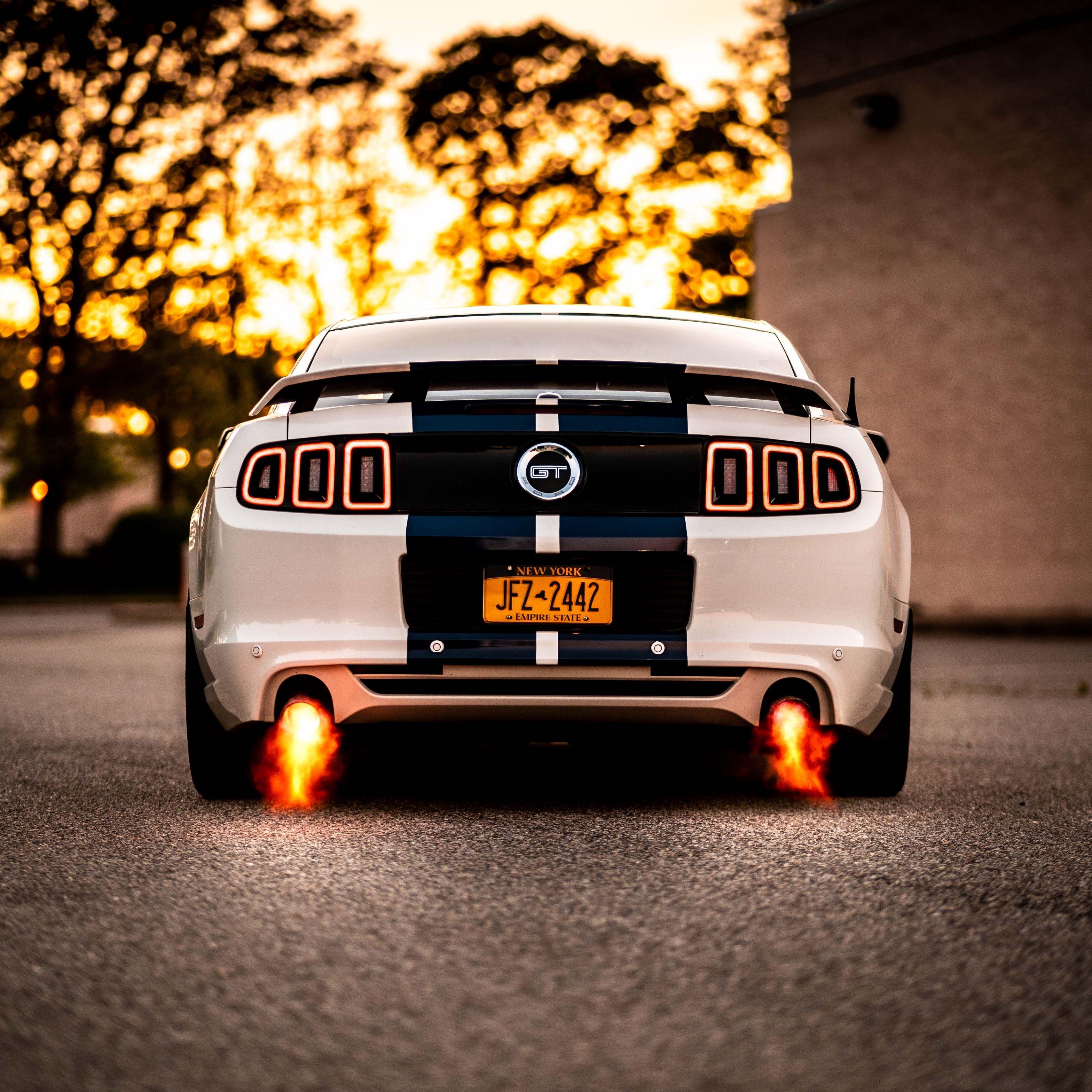 3415x3415 Download wallpaper 3415x3415 car, sportscar, white, rear view