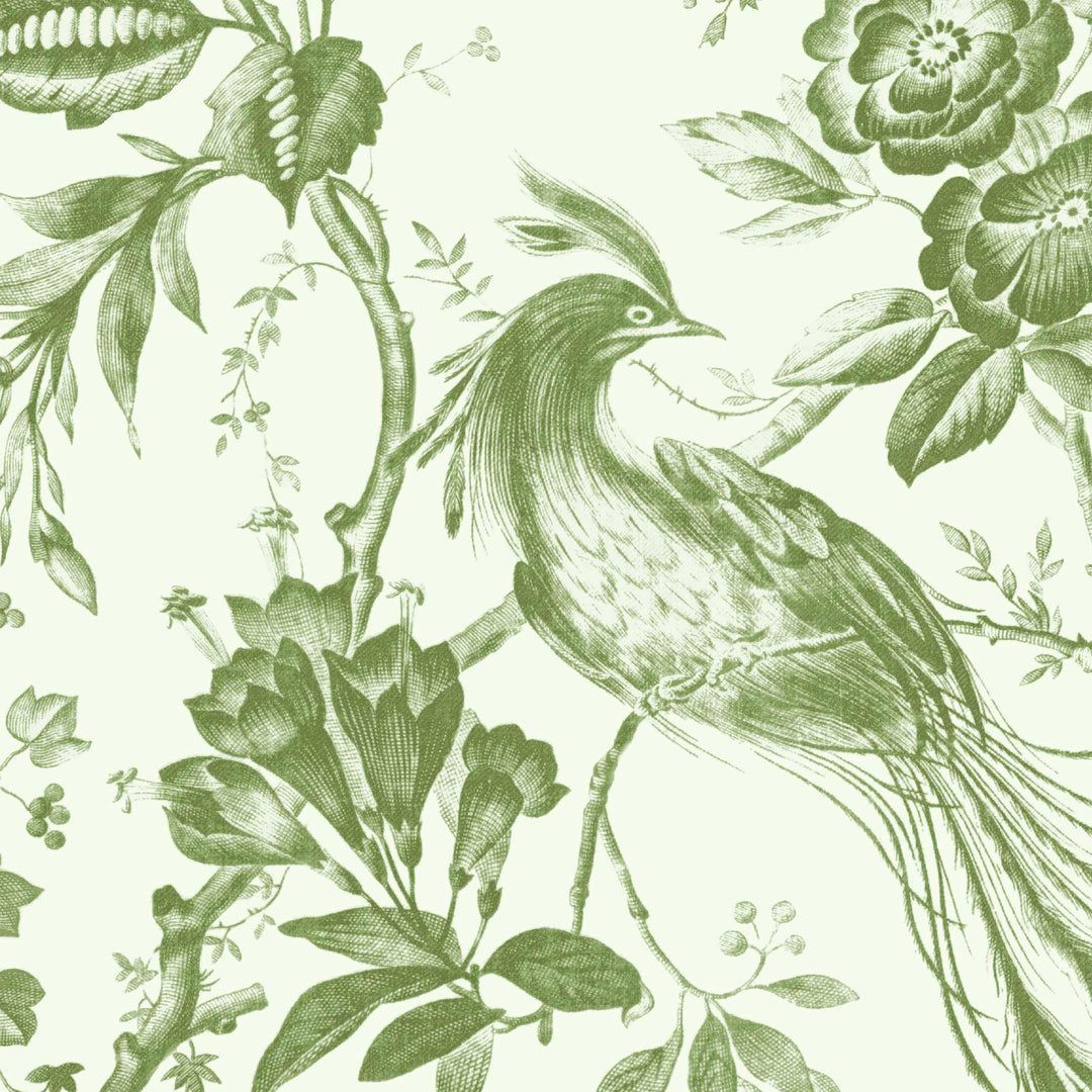 1080x1080 Green and black humming bird photo