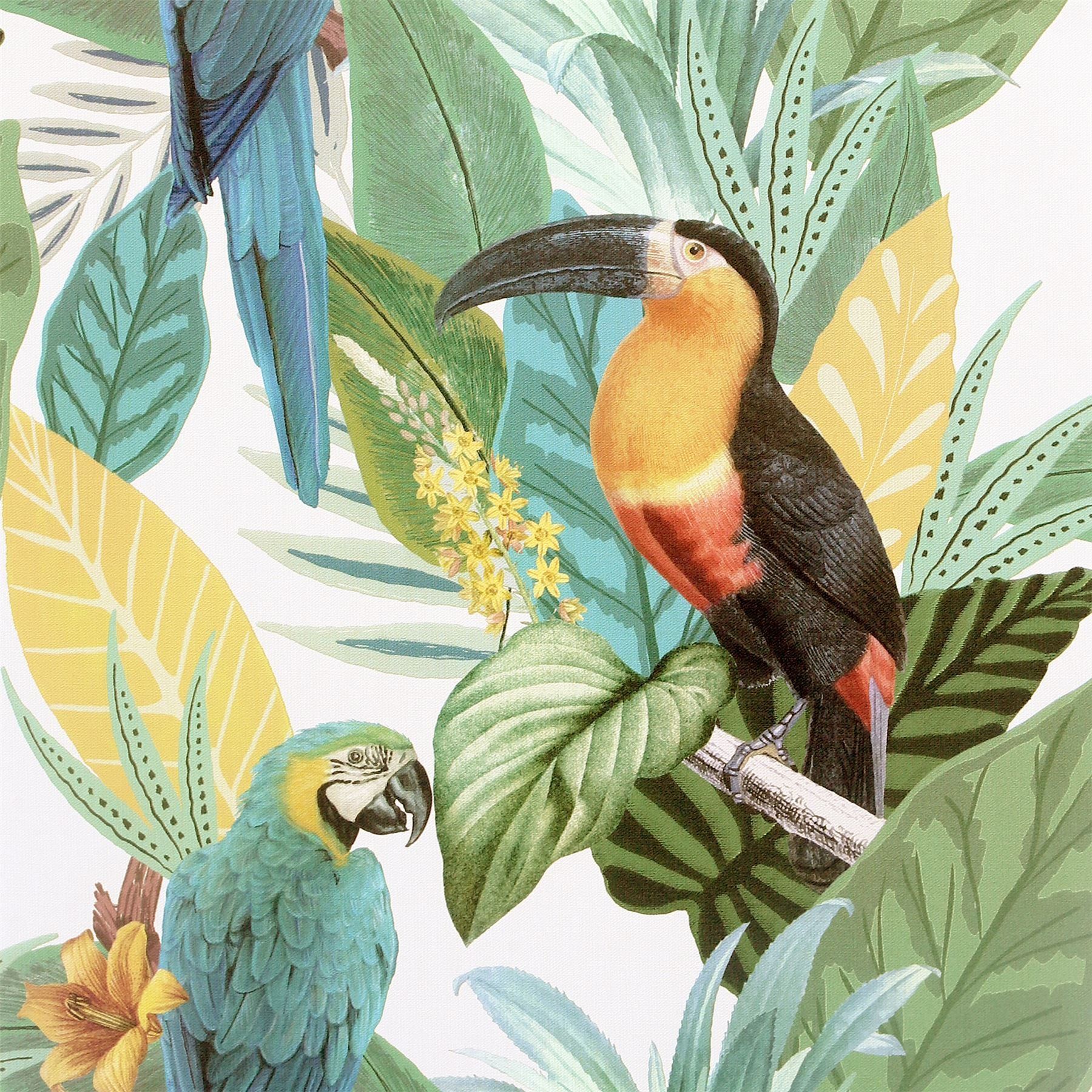 1800x1800 Parrot, green, bird, sit, portrait, 720x1280 wallpaper