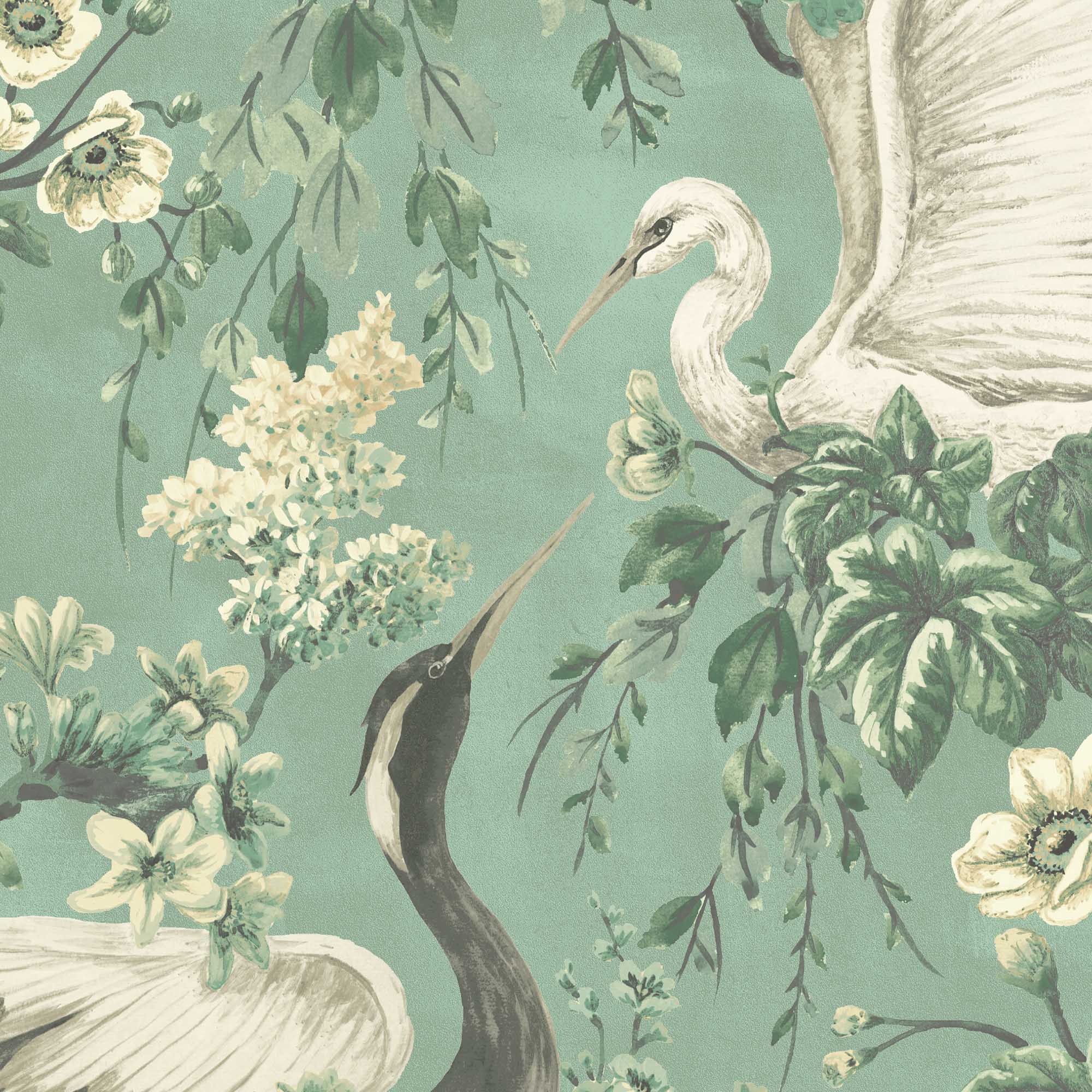 2000x2000 Birds of Paradise Wallpaper