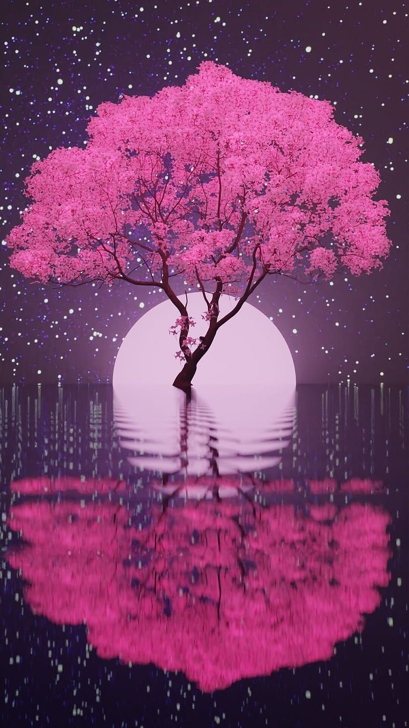 800x1422 Cherry Blossoms iPhone Cherry Blossoms iPhone, Sakura Night, HD phone wallpaper