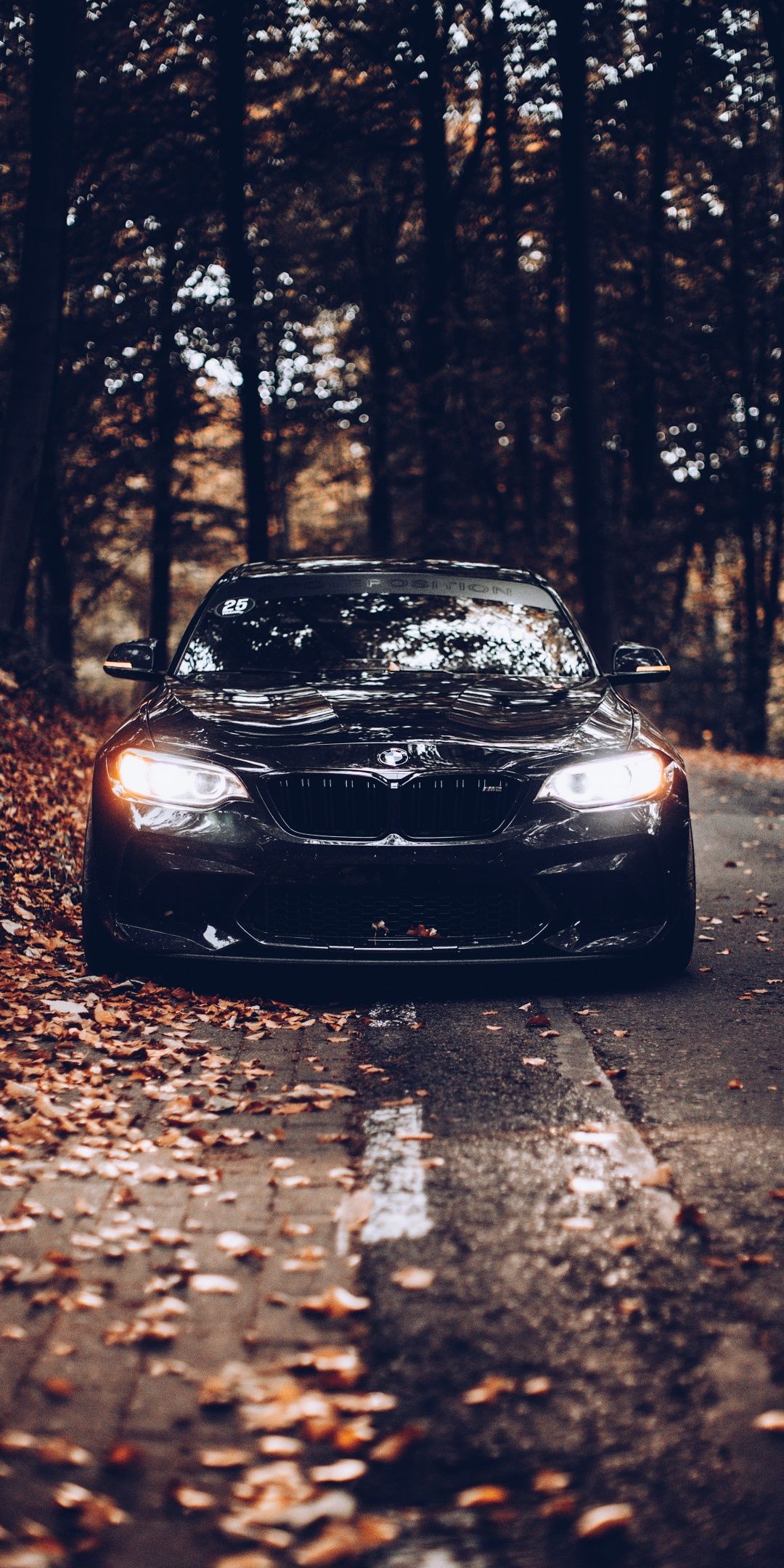 1080x2160 BMW Wallpaper 4K, Black cars, Cinematic, Autumn