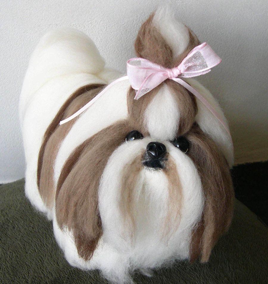 900x954 Shih Tzu Dog Wallpaper Cute and Docile