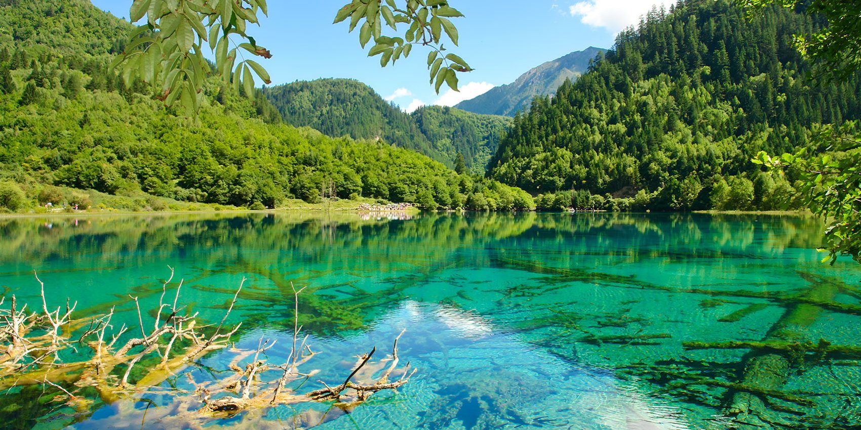 1700x850 Jiuzhaigou: a breathtaking tapestry of blue and green