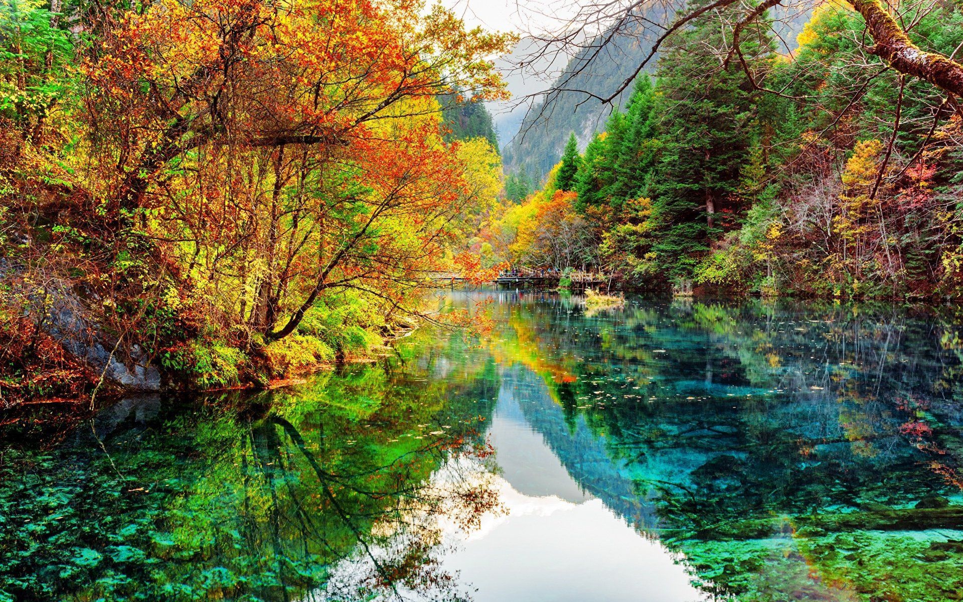 1920x1200 Download Reflection Forest Fall Lake China Jiuzhaigou Park Photography Landscape HD Wallpaper