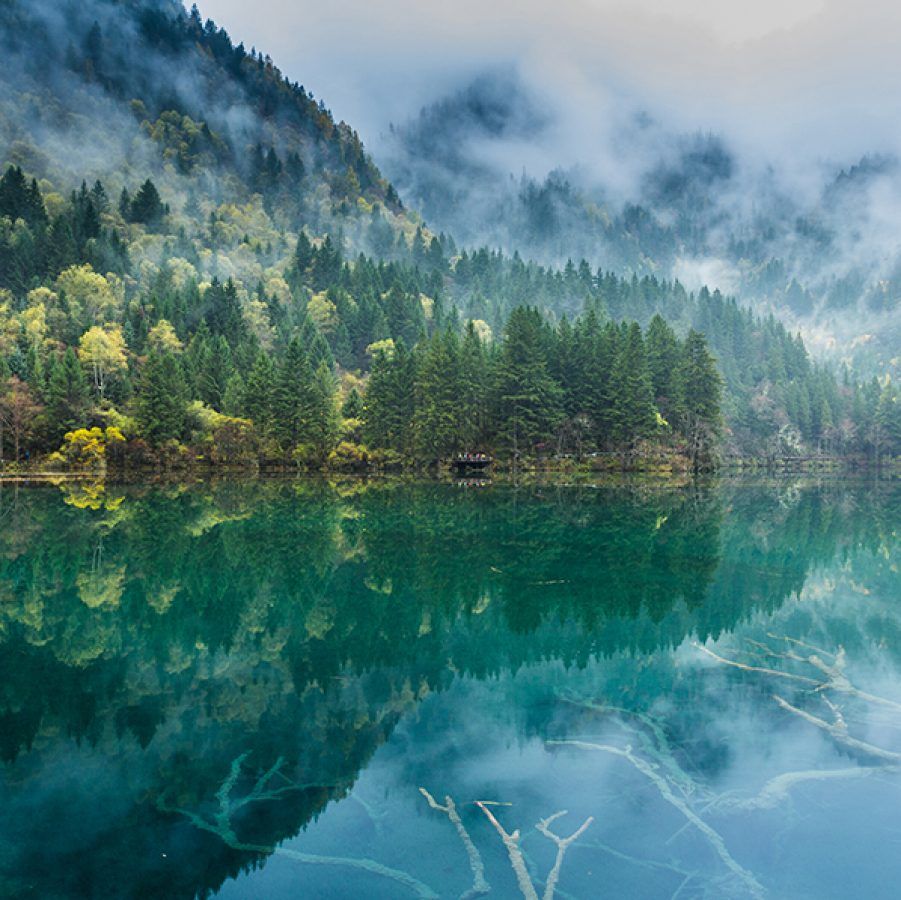 901x900 Jiuzhaigou: a breathtaking tapestry of blue and green