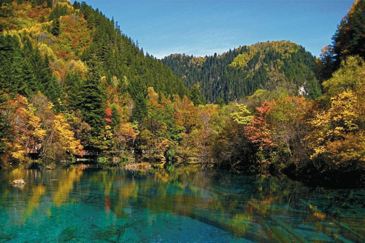 1200x800 Fall In Love. South China Morning Post