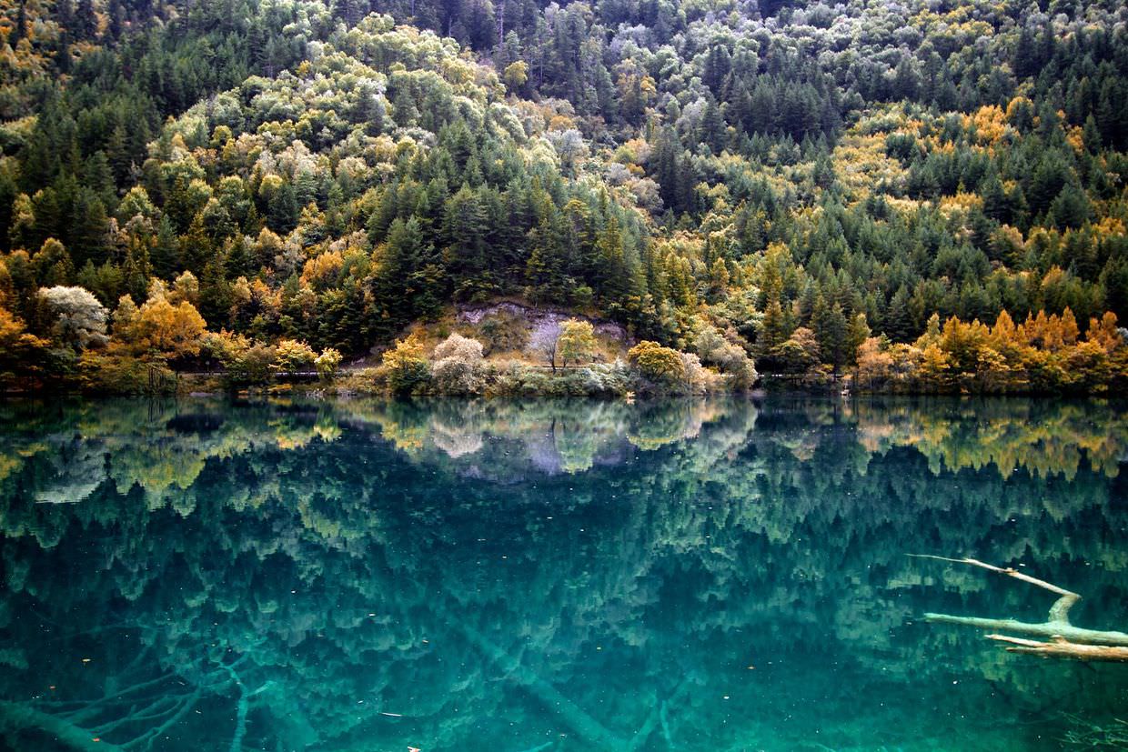 1240x827 A magical day at Jiuzhaigou National park