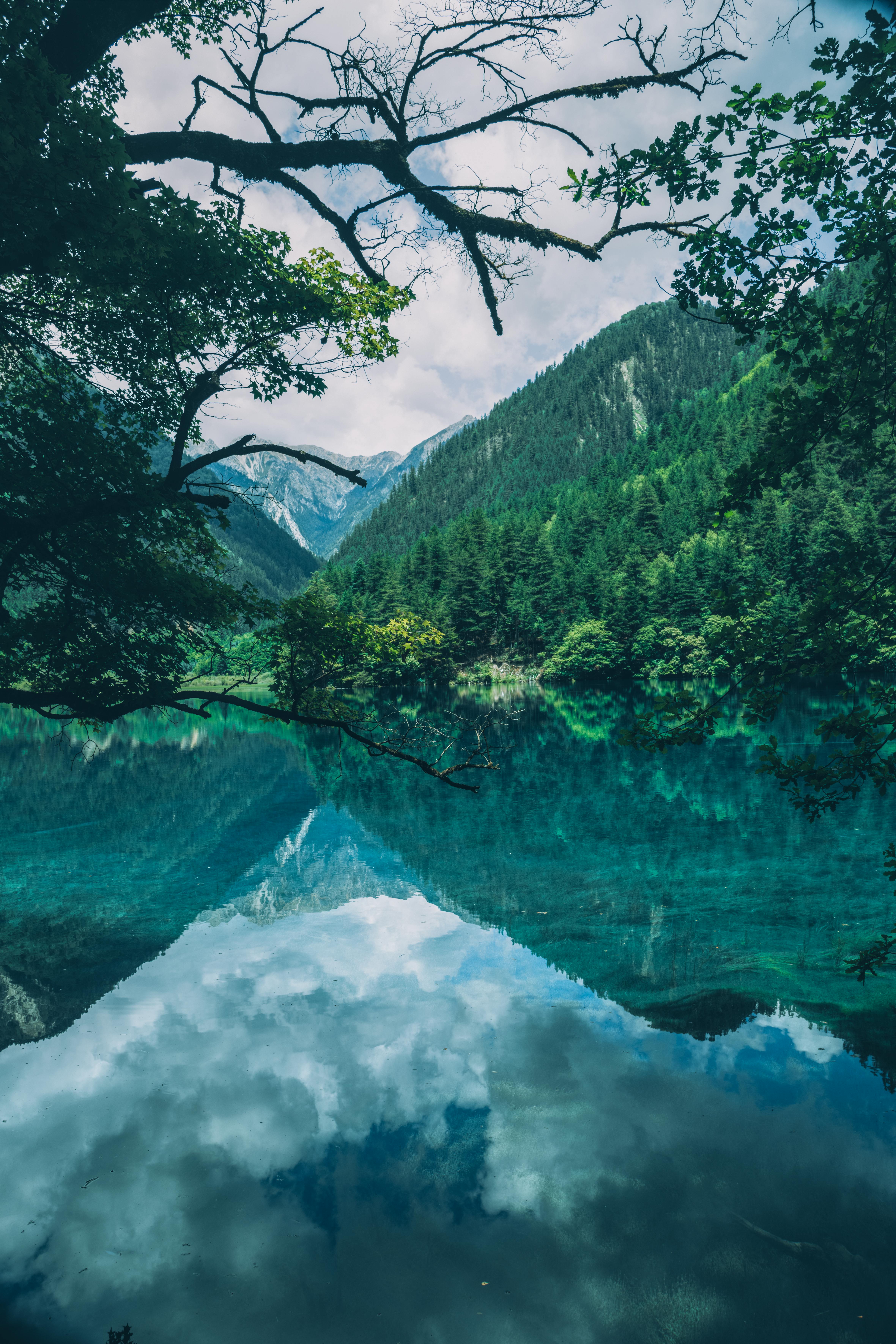 4722x7083 Jiuzhaigou Valley Photo, Download The BEST Free Jiuzhaigou Valley & HD Image