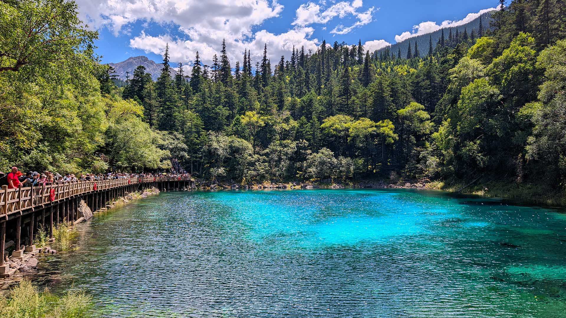 1920x1080 Jiuzhaigou: Top Highlights & Best Time to Visit