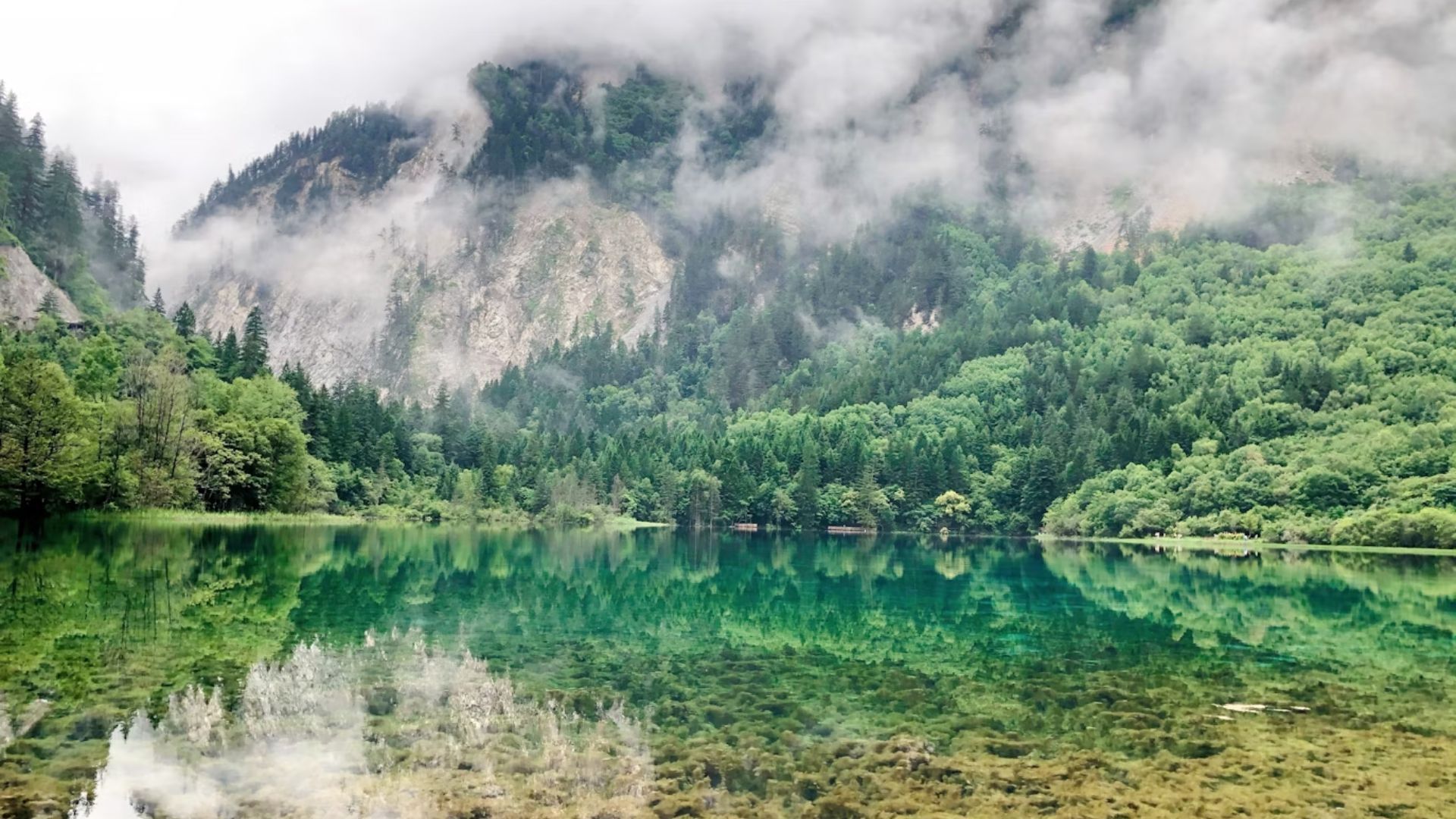 1920x1080 Jiuzhaigou National Park: Uncover China's Dreamiest Nature Destination