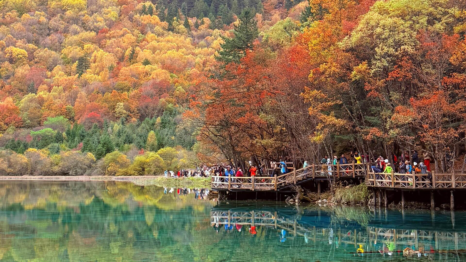 1920x1080 JiuZhaiGou Car Rental with driver Tours @WestChinaGo