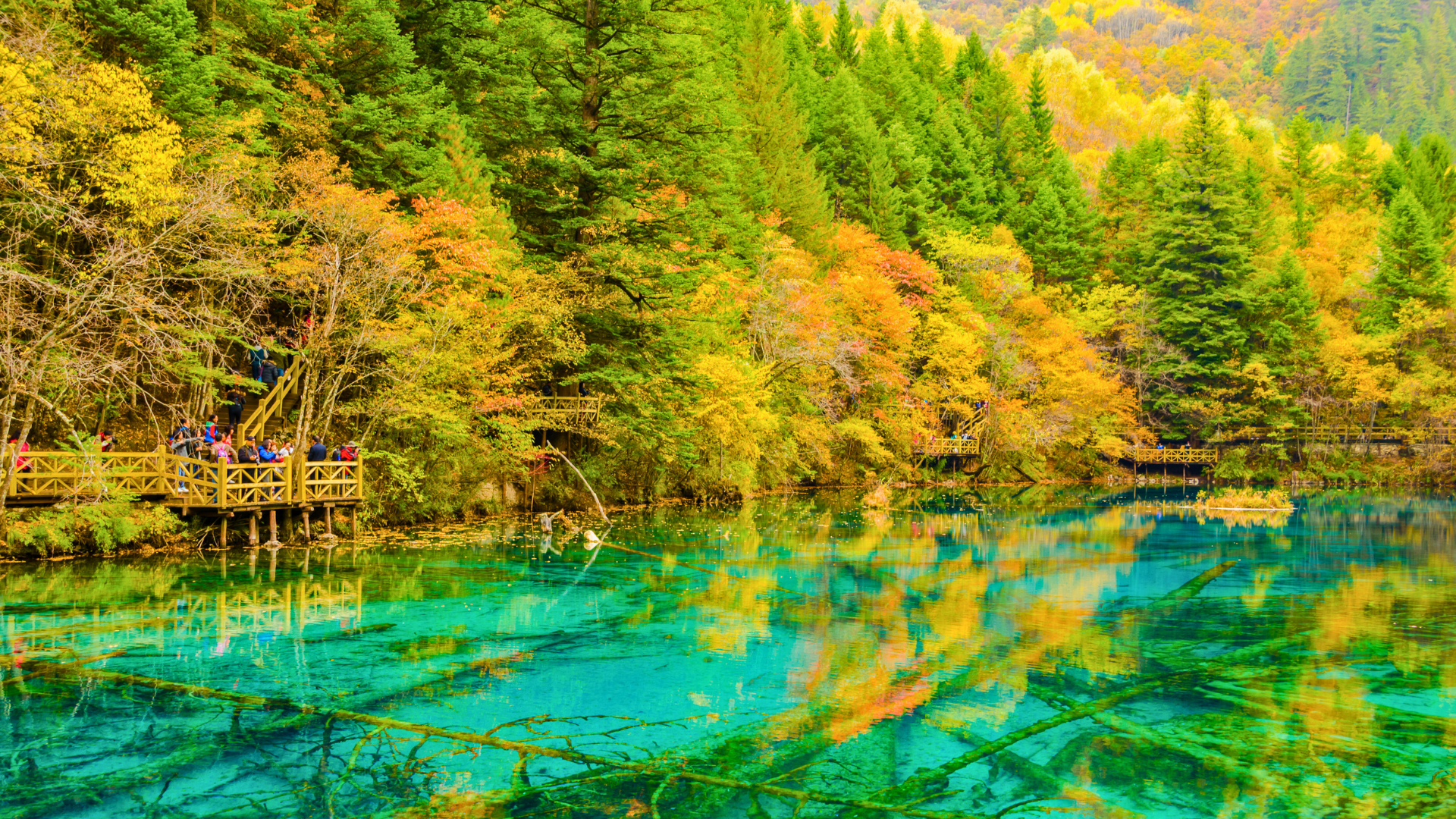 1920x1080 Jiuzhaigou & The Ancient Shu Roads Hike, 10 days (GUARANTEED)