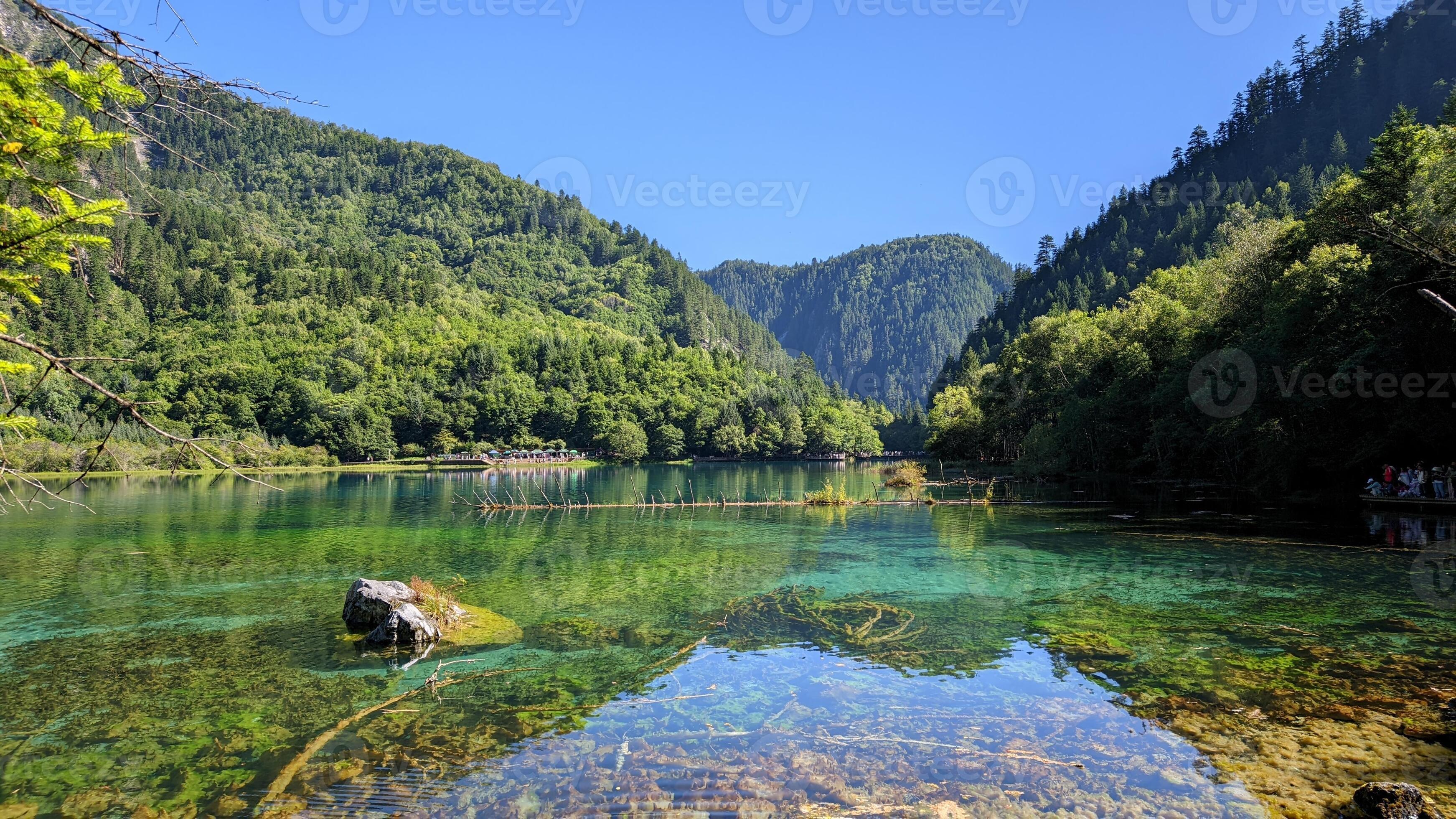 3485x1960 Five Flower Lake, Jiuzhaigou, Instant Wallpaper