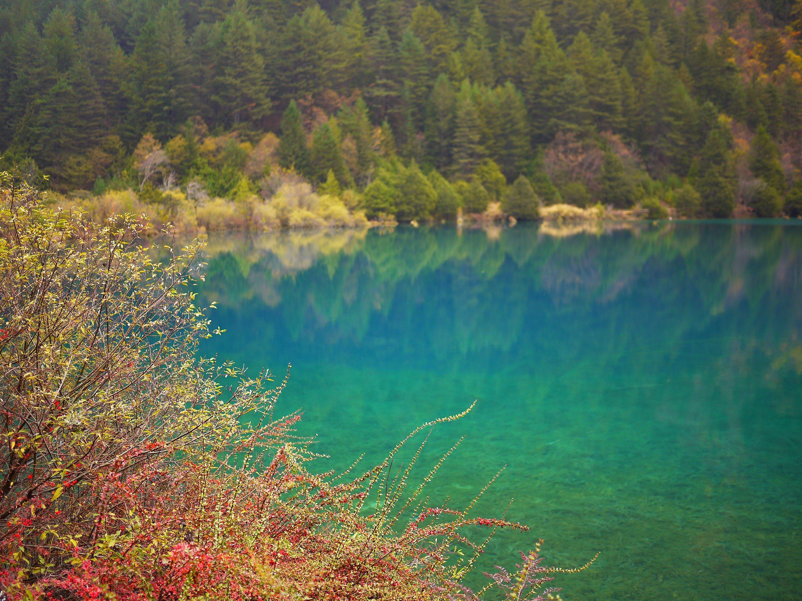 2560x1920 九寨溝-犀牛海 Jiuzhaigou Rhinoceros