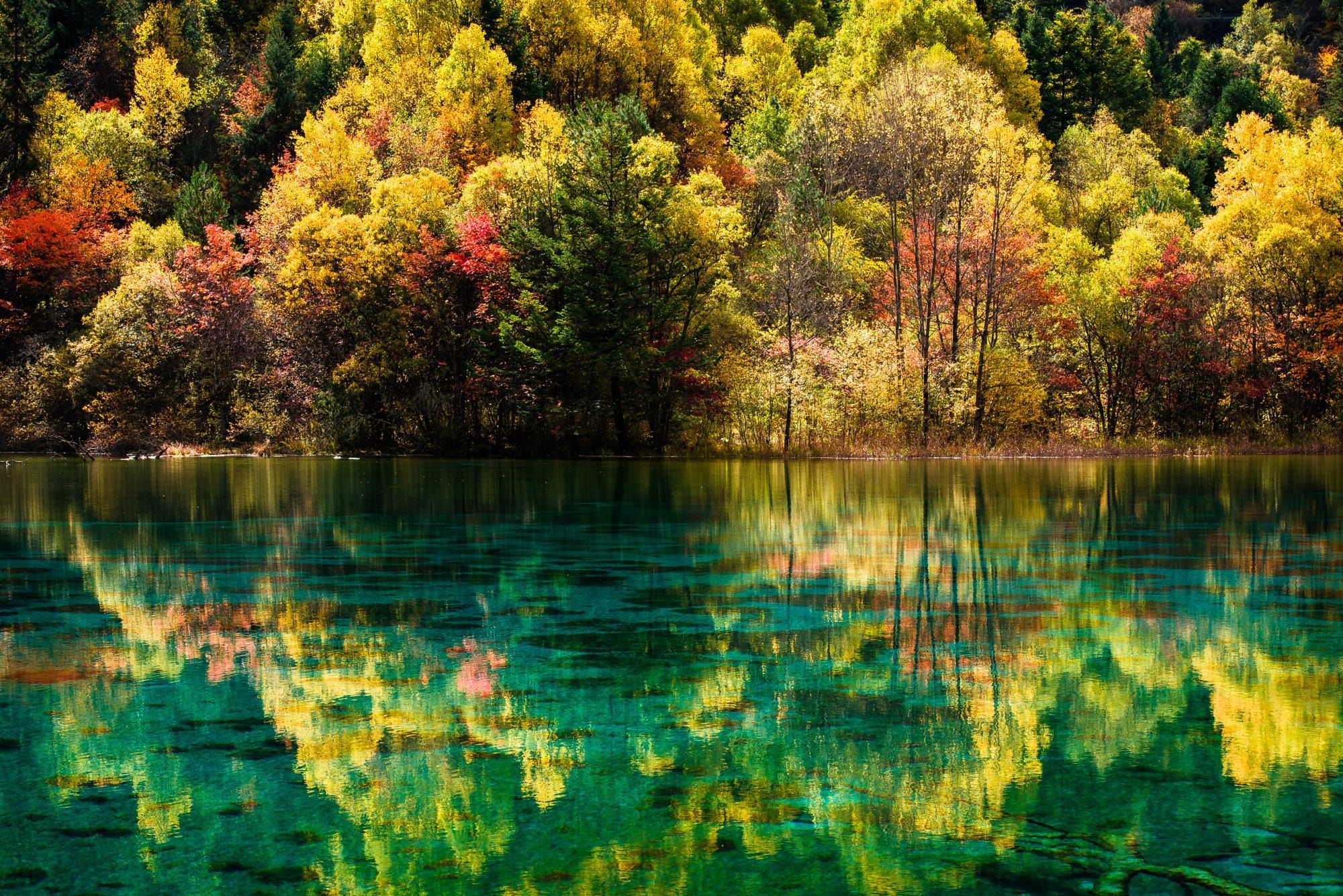2000x1335 Wallpaper autumn, forest, landscape, nature, lake, China, reserve, Jiuzhaigou for mobile and desktop, section пейзажи, resolution 2000x1335