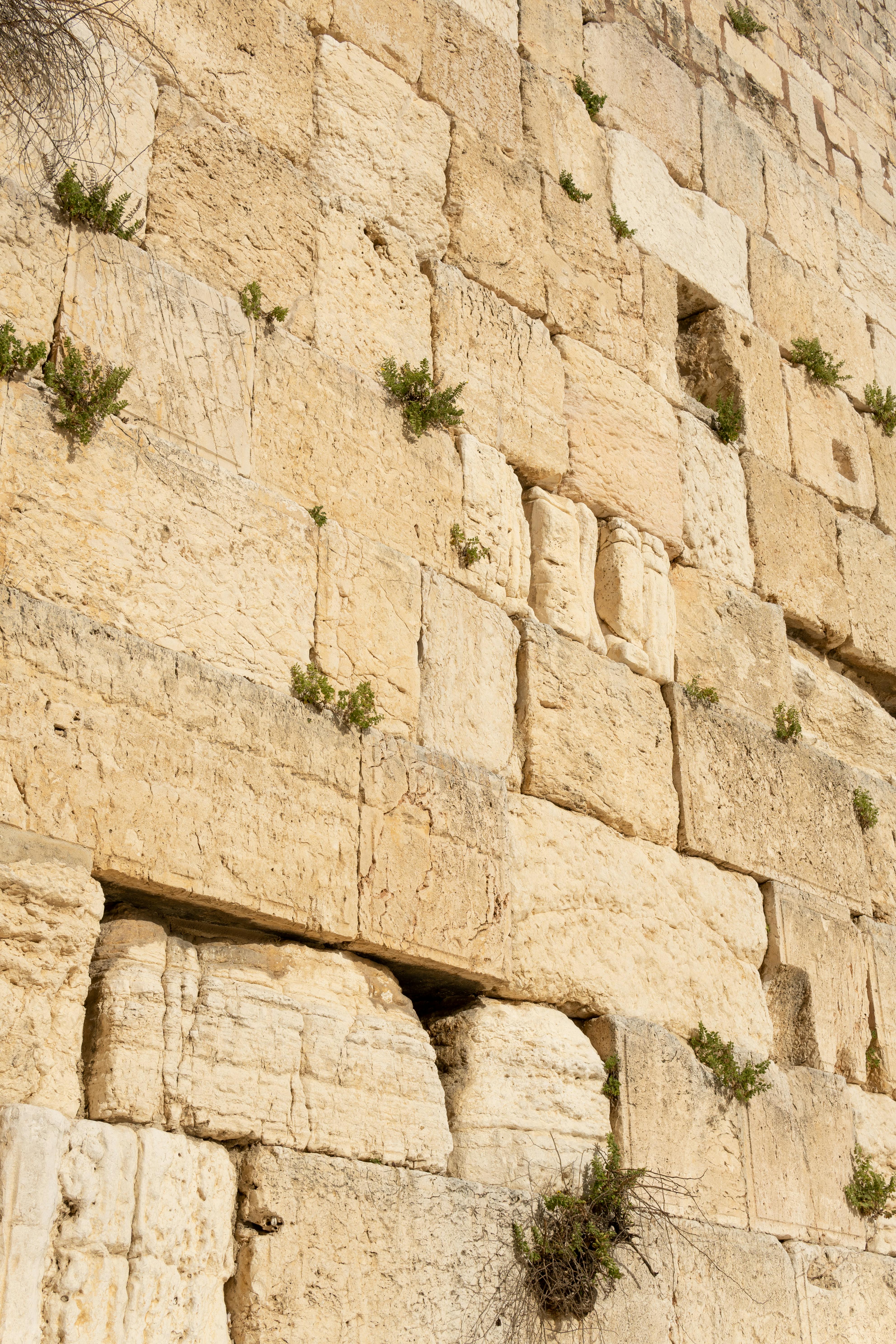 3969x5953 Ancient Wailing Wall in Jerusalem, Israel · Free