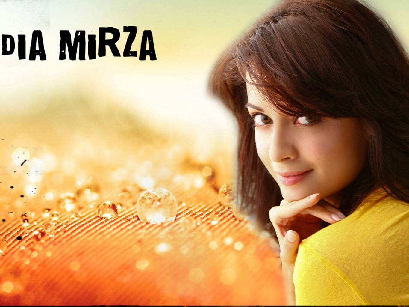 Hình nền HD 1366x1024 Dia Mirza.  Hình nền Dia Mirza mới nhất HD miễn phí