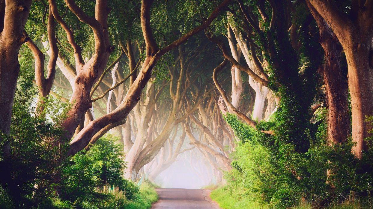 1244x700 NORTHERN IRELAND ROAD wallpaperx1080