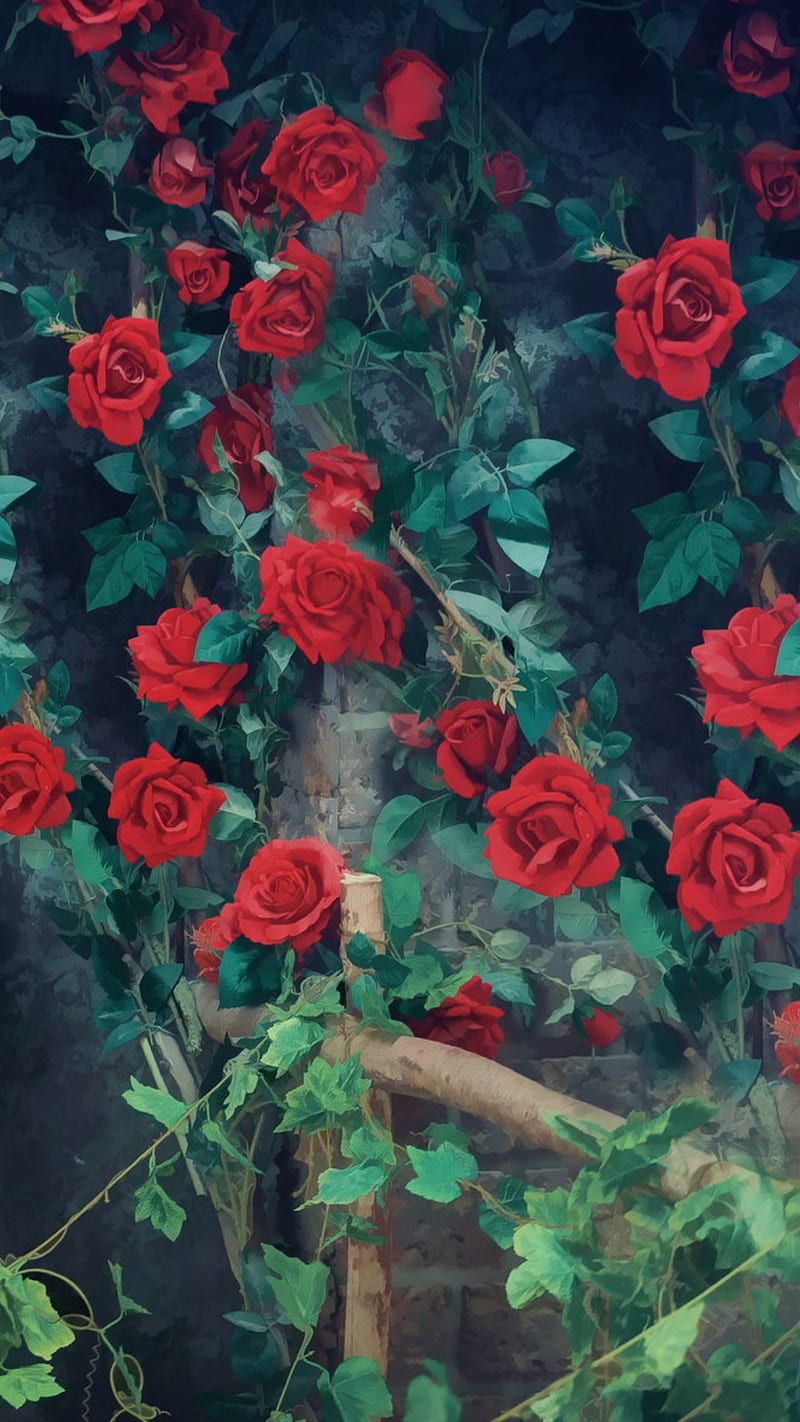 800x1422 Roses, drawings, love, paint, red, rose, HD phone wallpaper