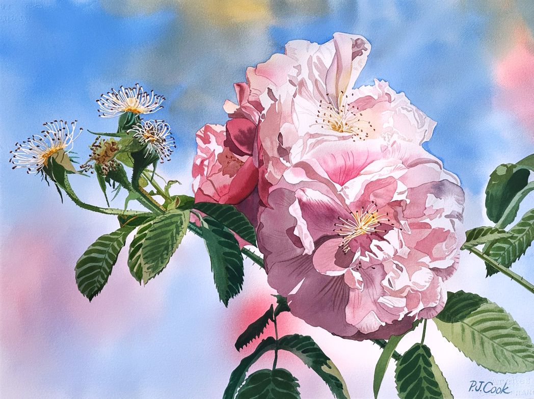 1048x783 Rose Up Pink Roses Painting