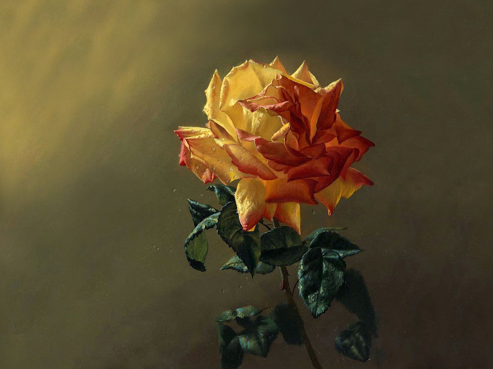 1920x1440 Yellow rose, painting, flowers HD wallpaper