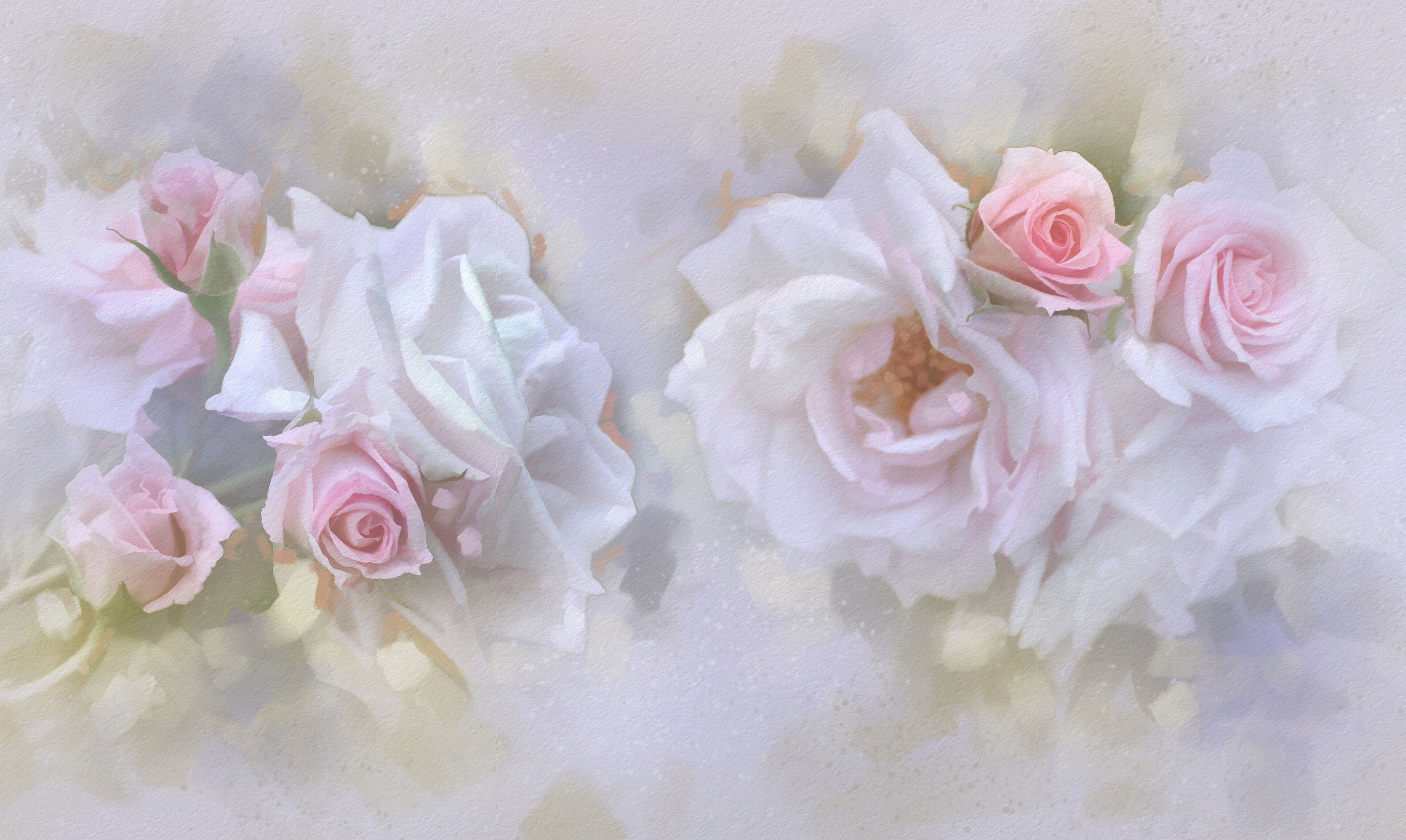 4000x2390 Wallpaper tenderness, roses, pastel, buds for mobile and desktop, section живопись, resolution 4000x2390