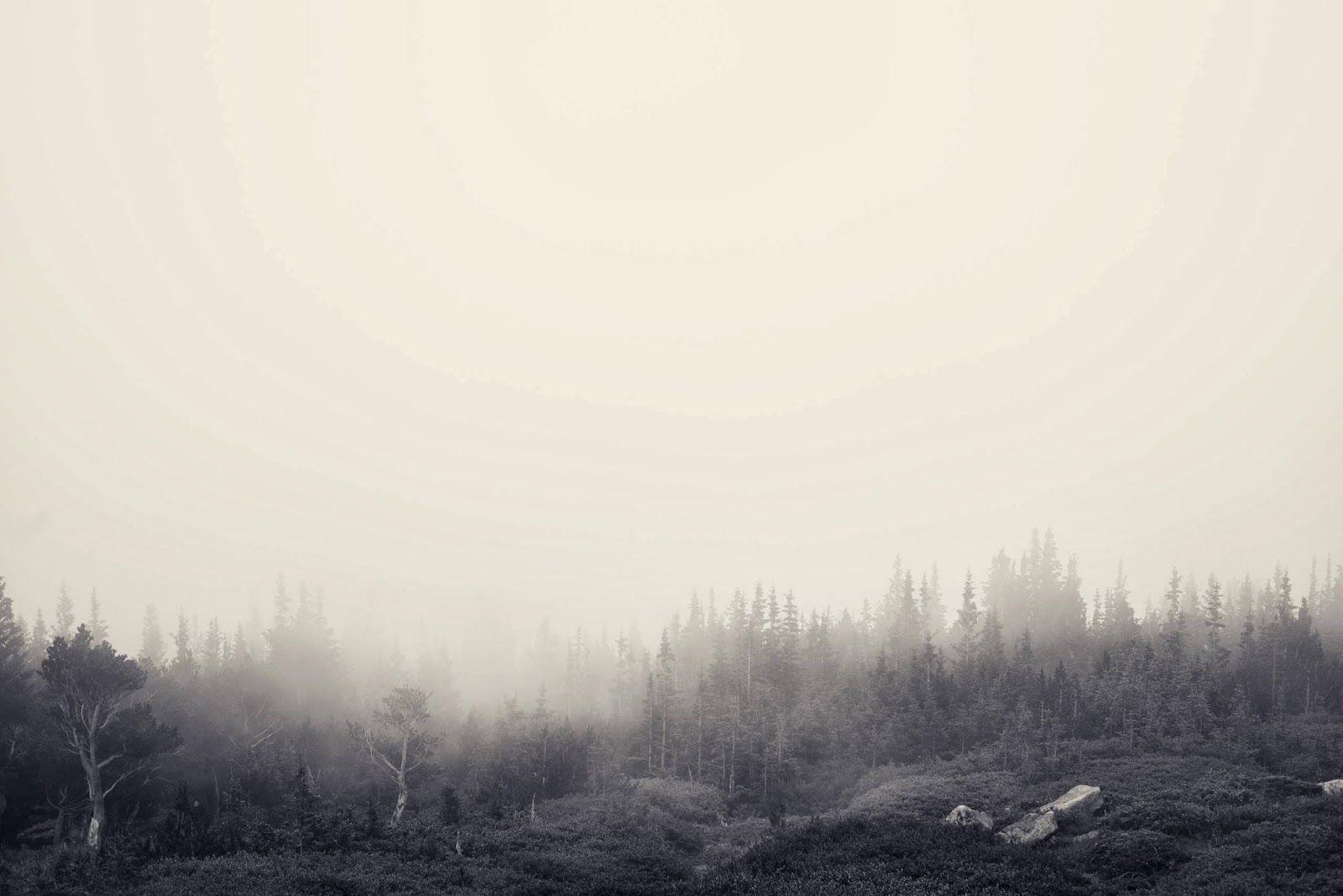 1600x1068 Telegram Wallpaper for Desktop