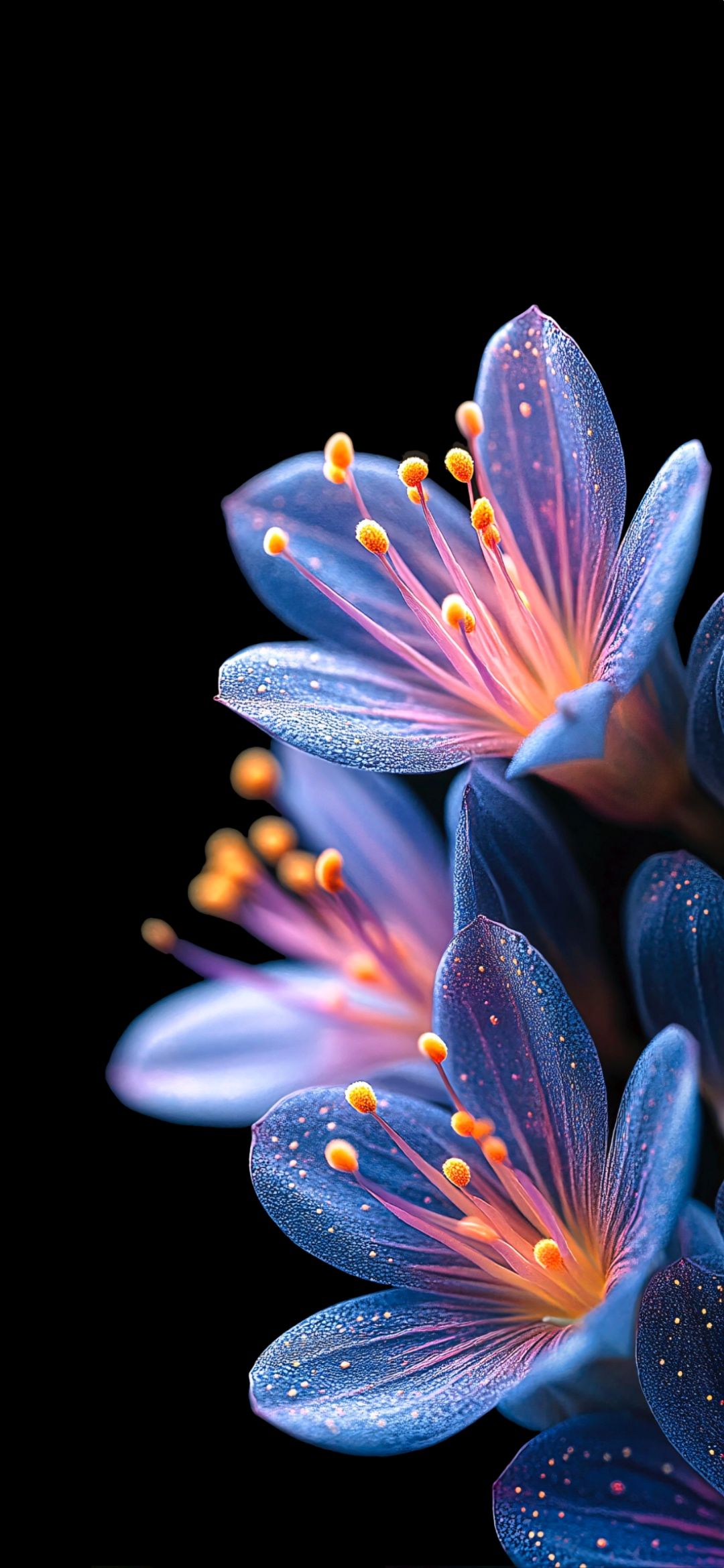 1080x2340 Wallsphone on X: Wallpaper Samsung Galaxy S24 FE 1 / X