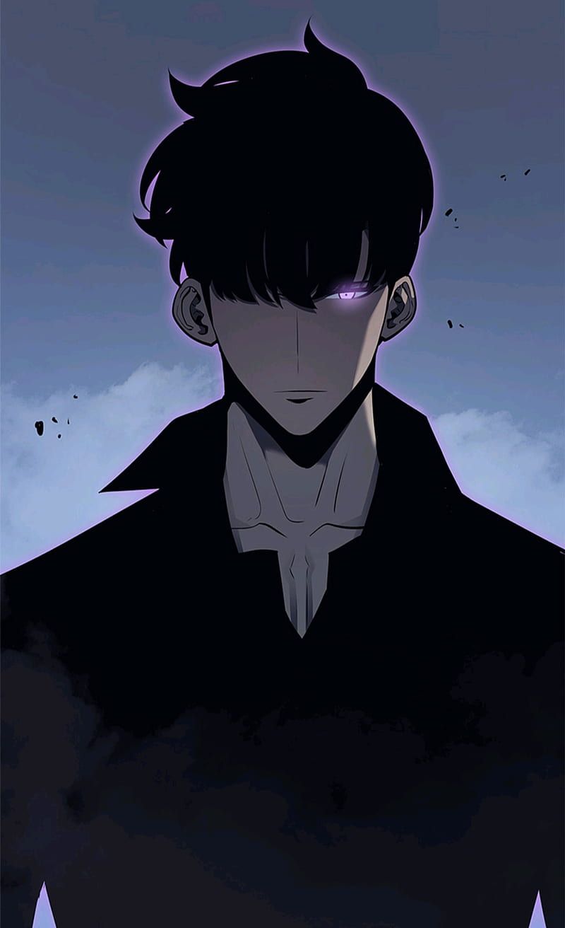 800x1312 Sung Jin Woo, solo leveling, HD phone wallpaper