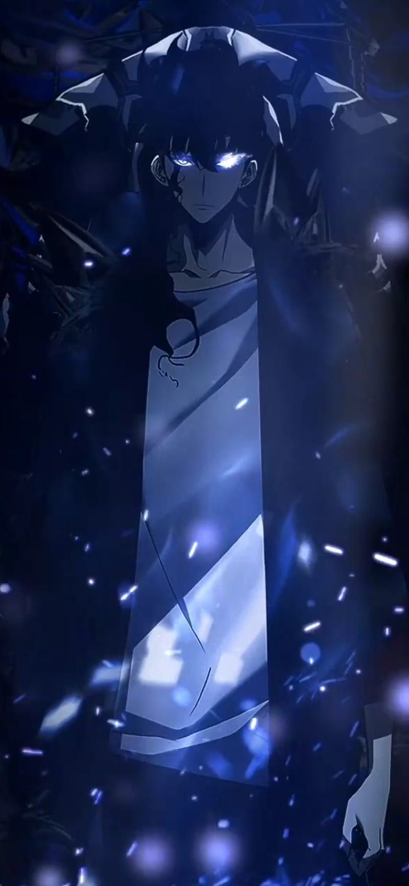 800x1733 Solo leveling, manhwa, king of shadows, , manga, , anime, sung jin woo, HD phone wallpaper