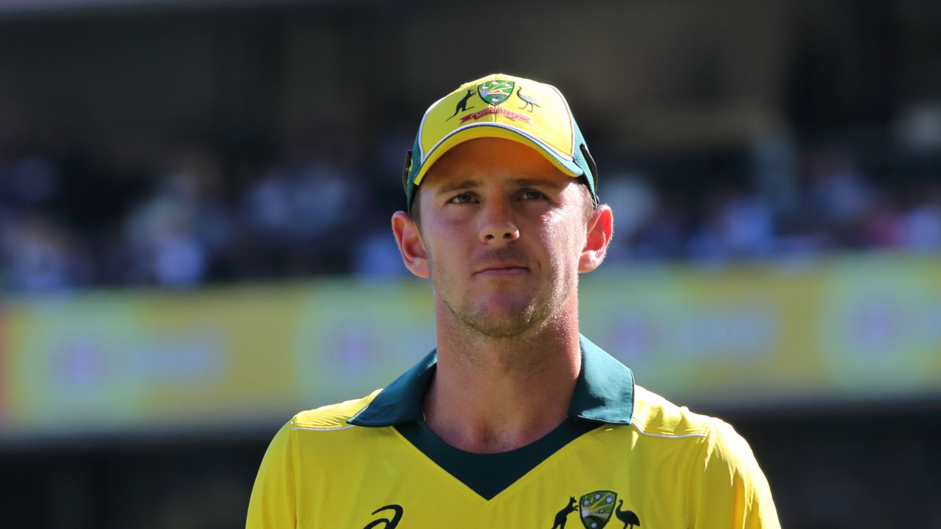 1920x1080 Josh Hazlewood Chennai Super Kings 2020 Cricket HD Sports Wallpaper