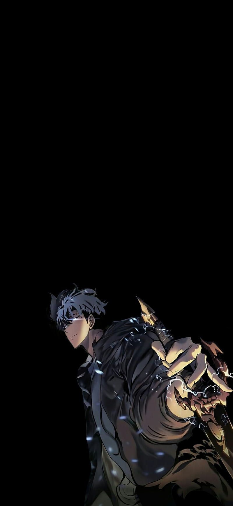 800x1733 2732x1536px, 2K free download. Black love, solo leveling, HD phone wallpaper